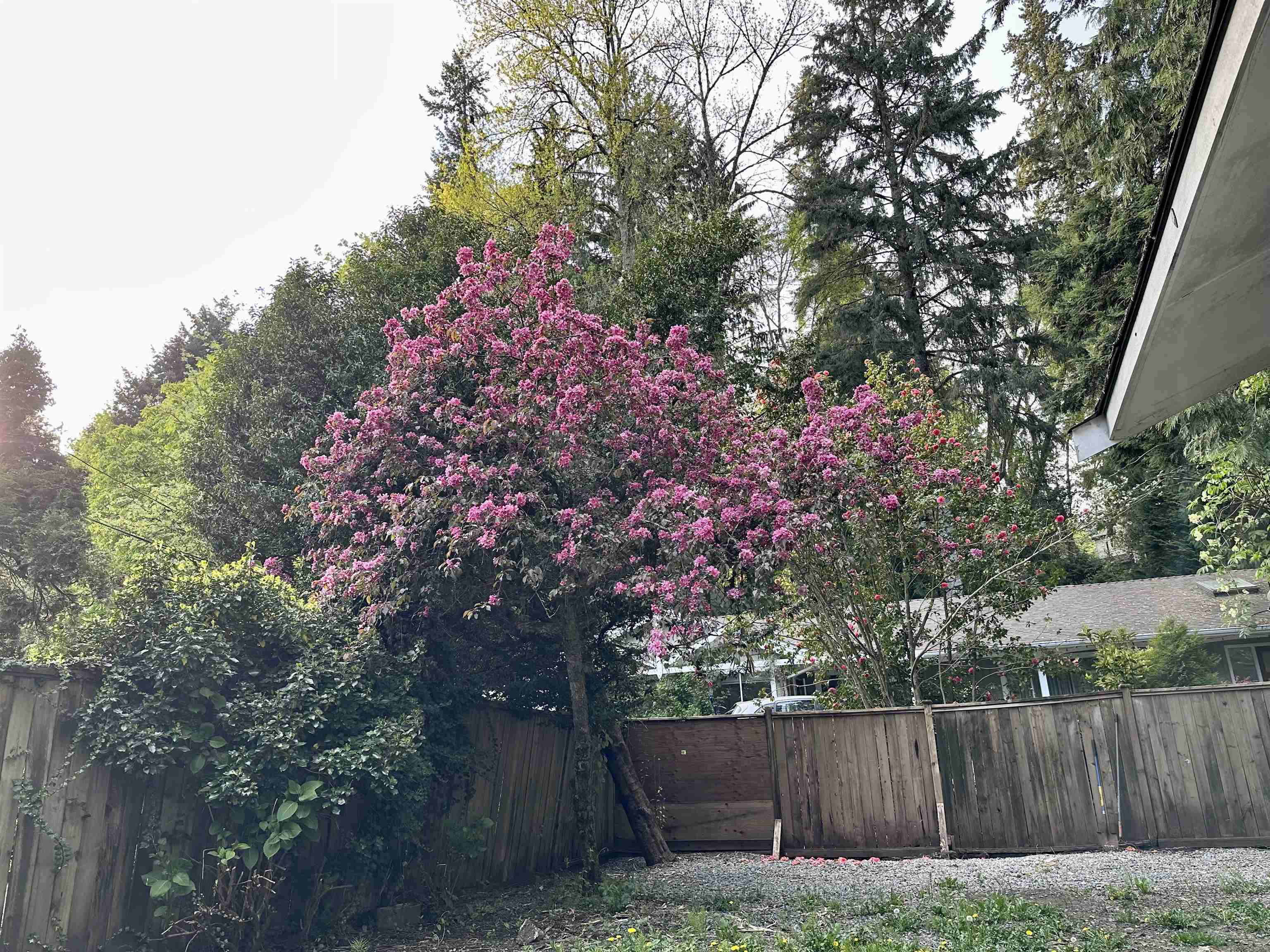 909 SEYMOUR BOULEVARD