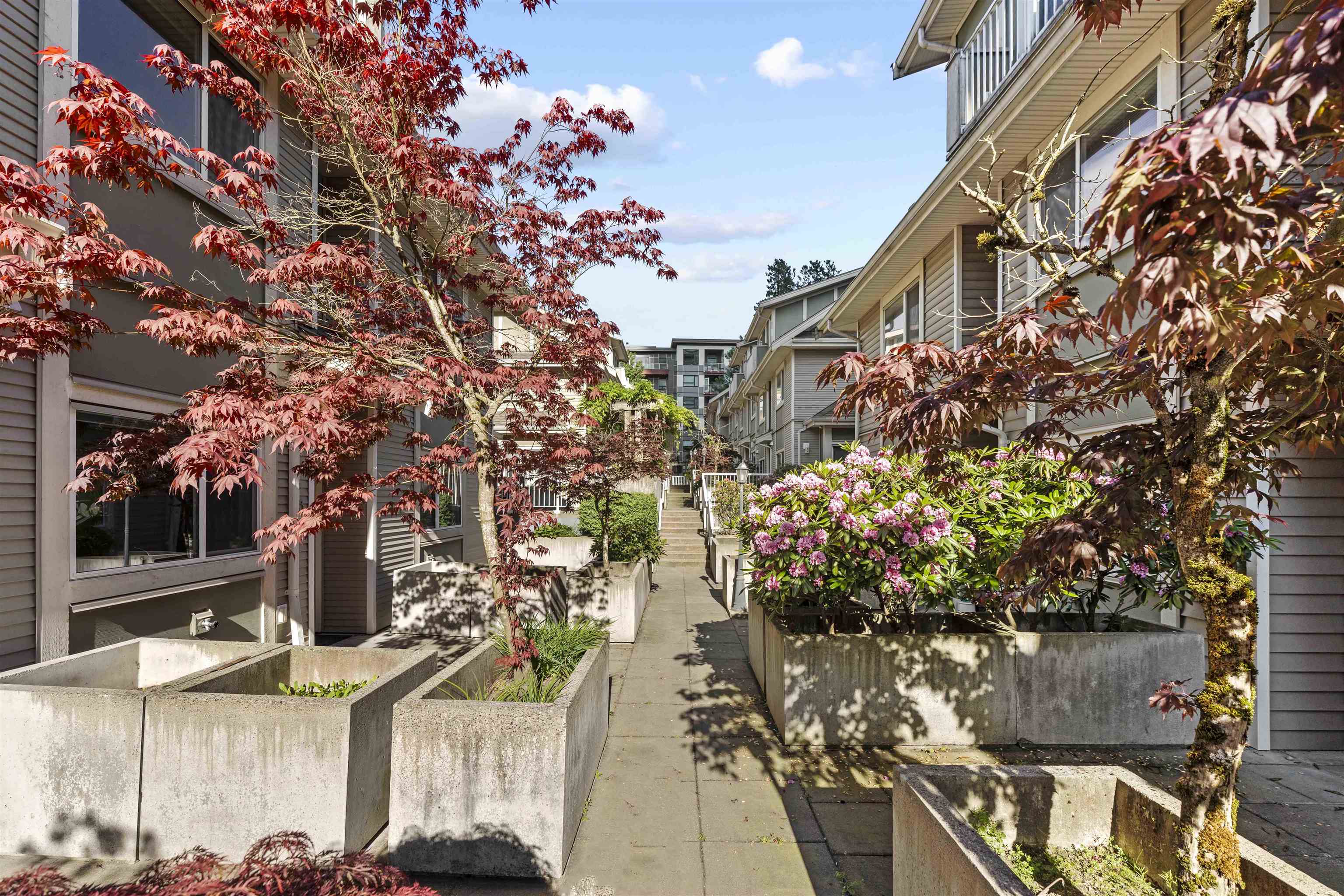 13 621 LANGSIDE AVENUE Unit: 13