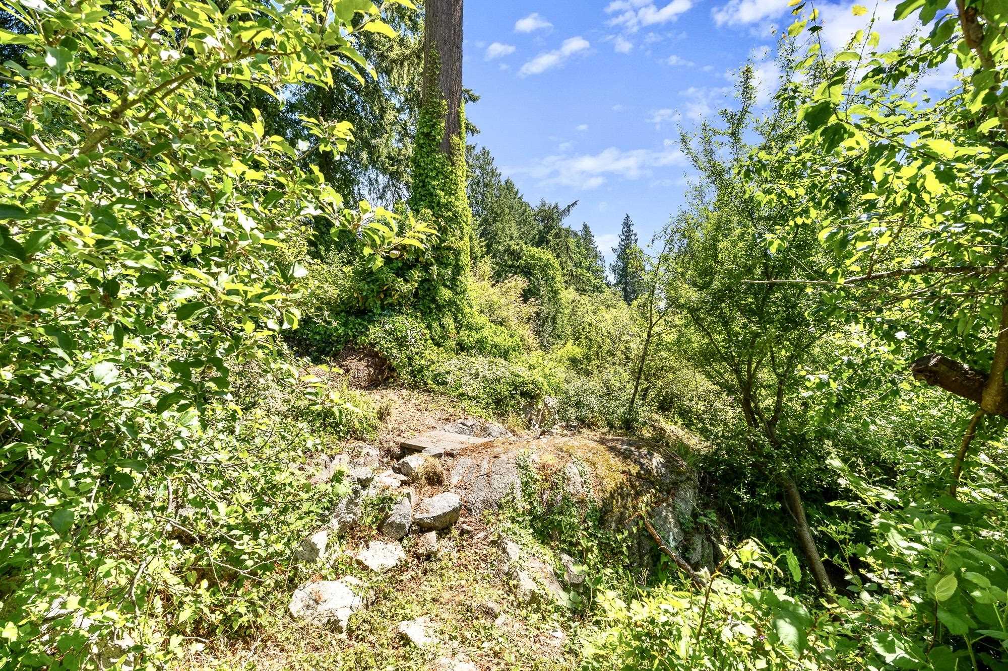 4704 DOGWOOD LANE