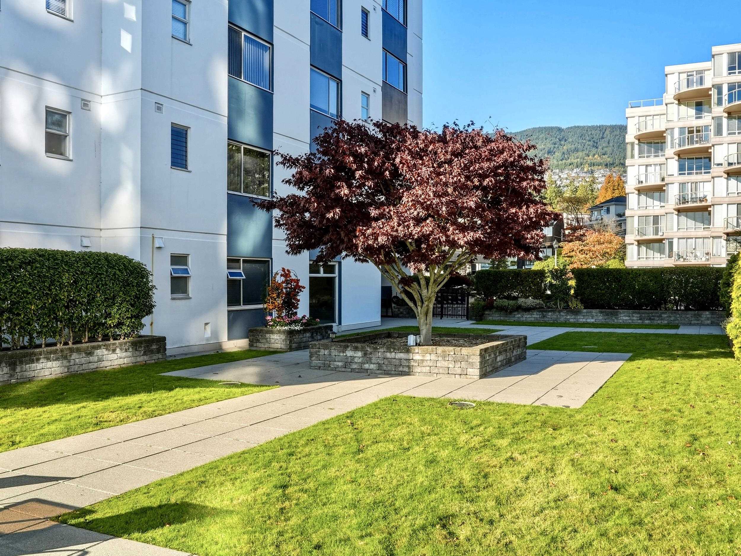 702 2246 BELLEVUE AVENUE