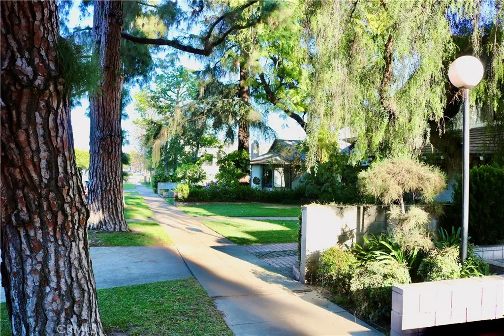 1151 Pine Unit: B