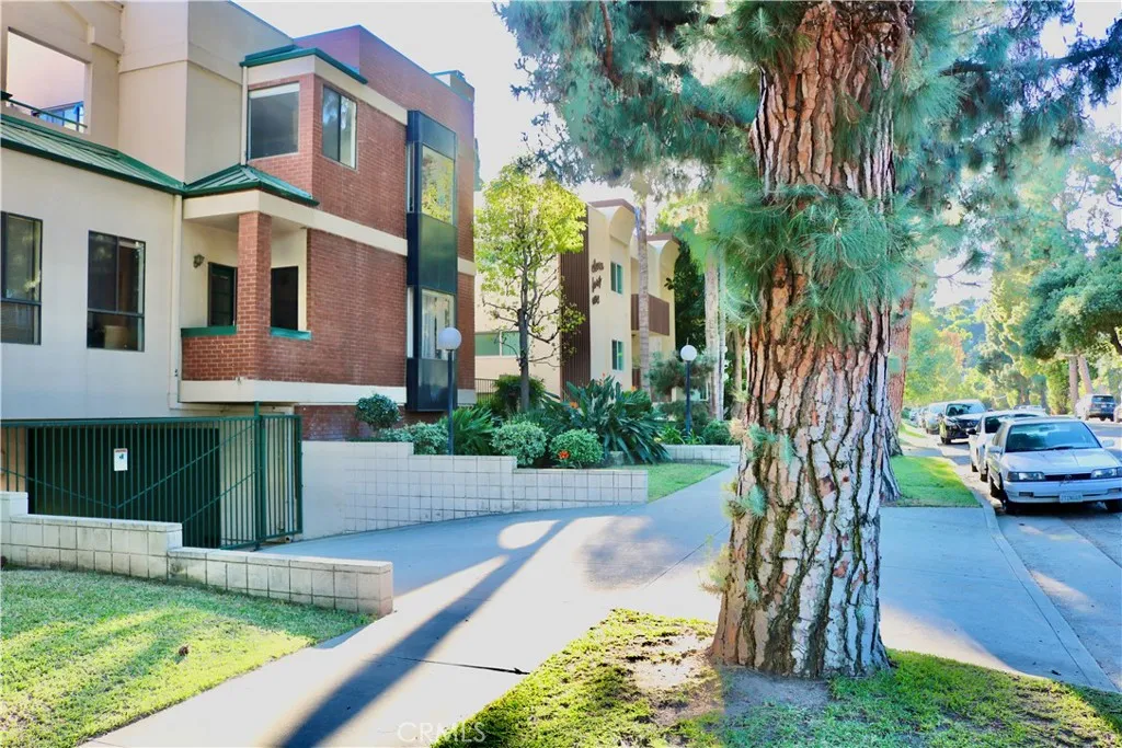 1151 Pine Unit: B