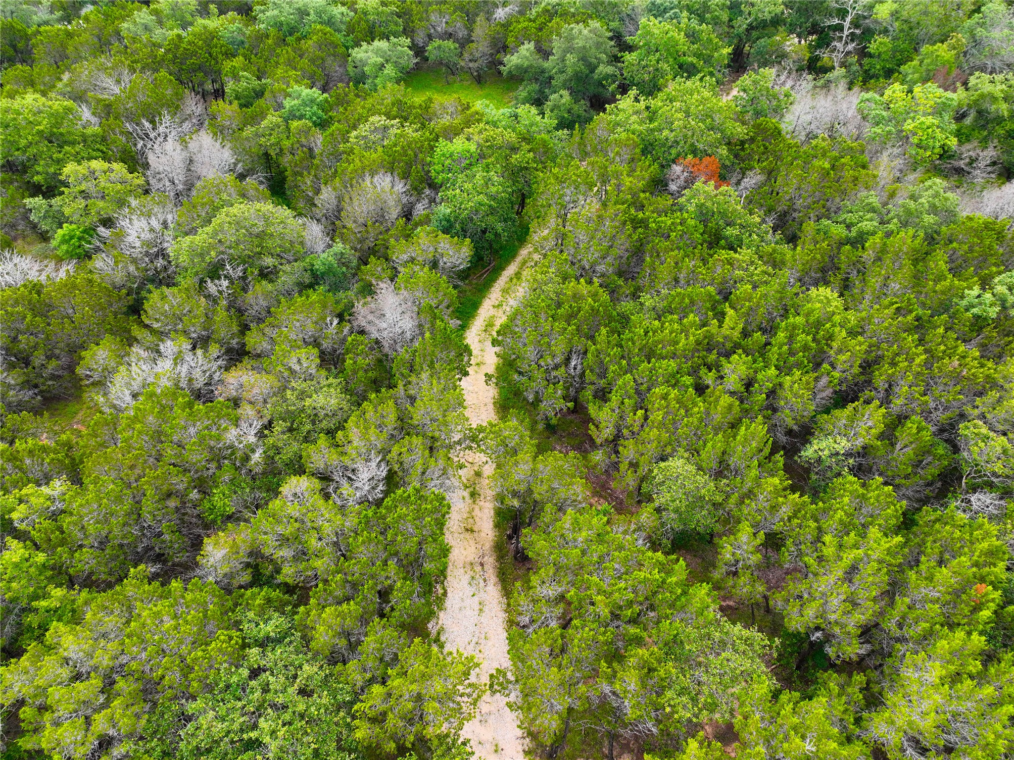 0000 County Road 1410