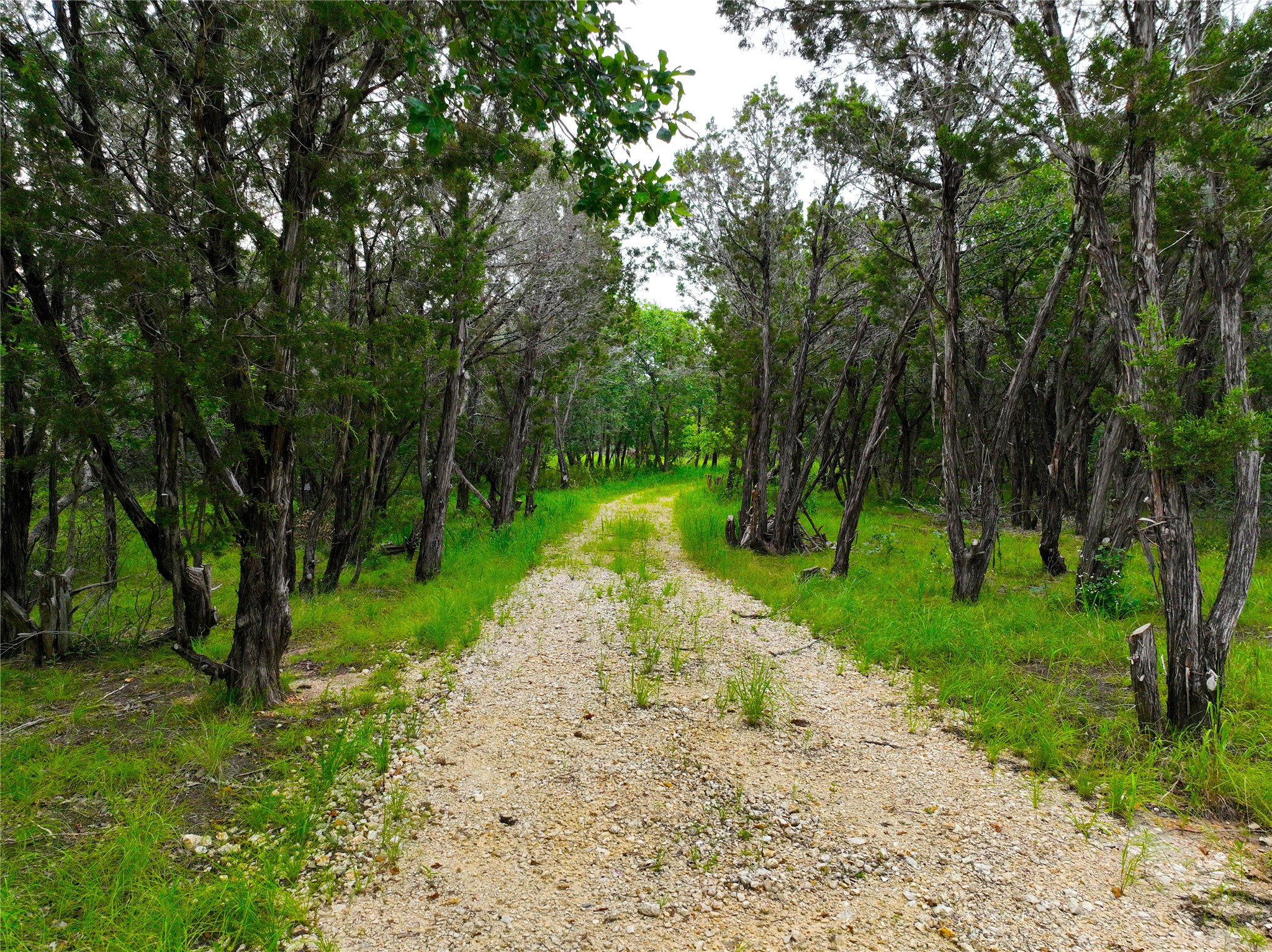 0000 County Road 1410