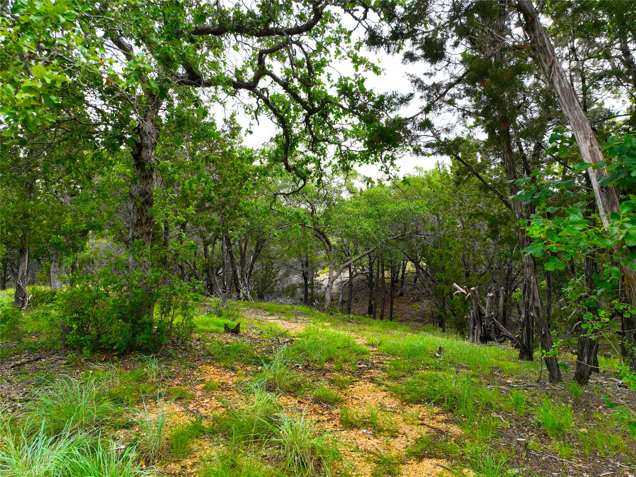 0000 County Road 1410