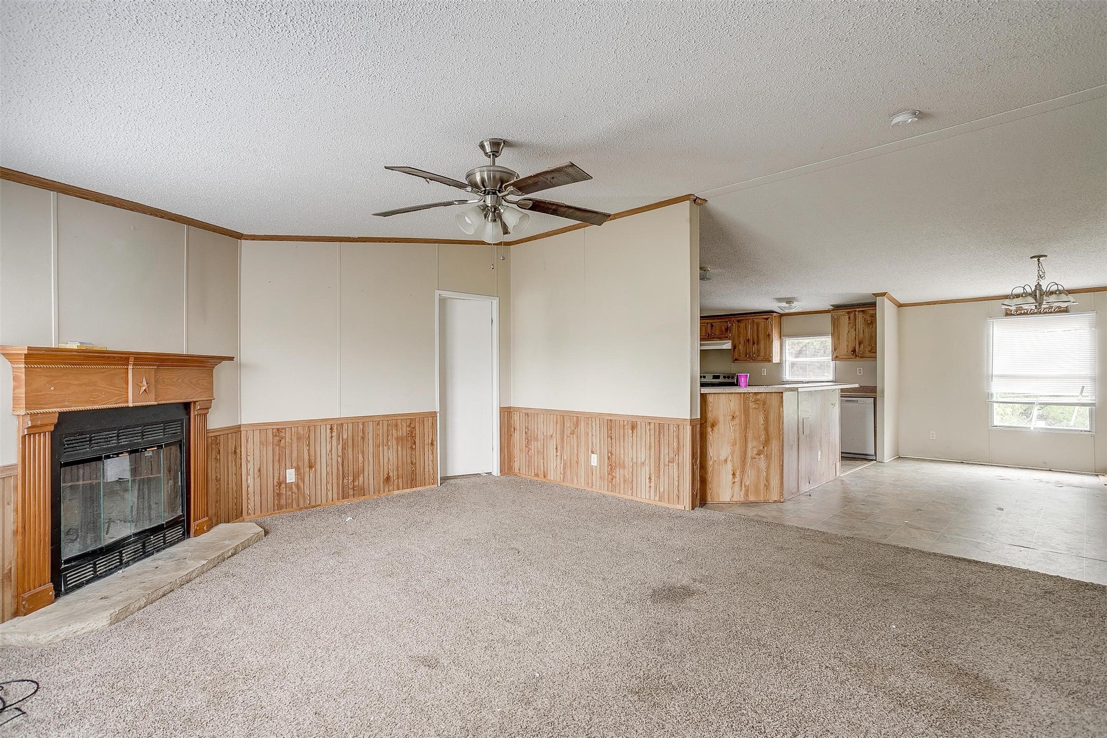 6205 Friesian Drive