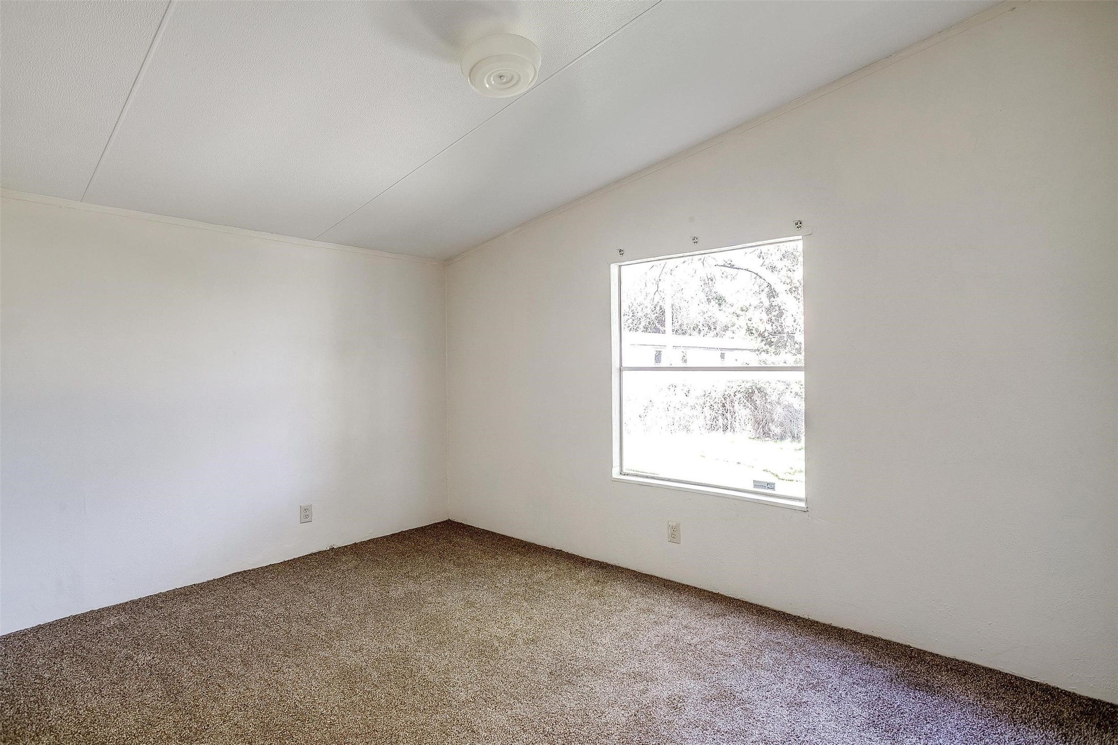 1901 Gale Drive