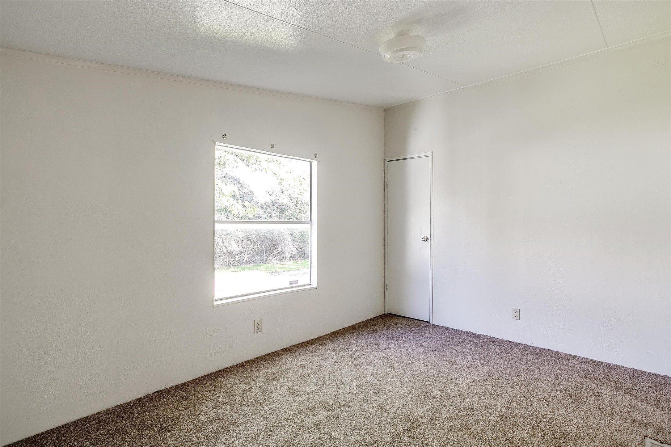 1901 Gale Drive