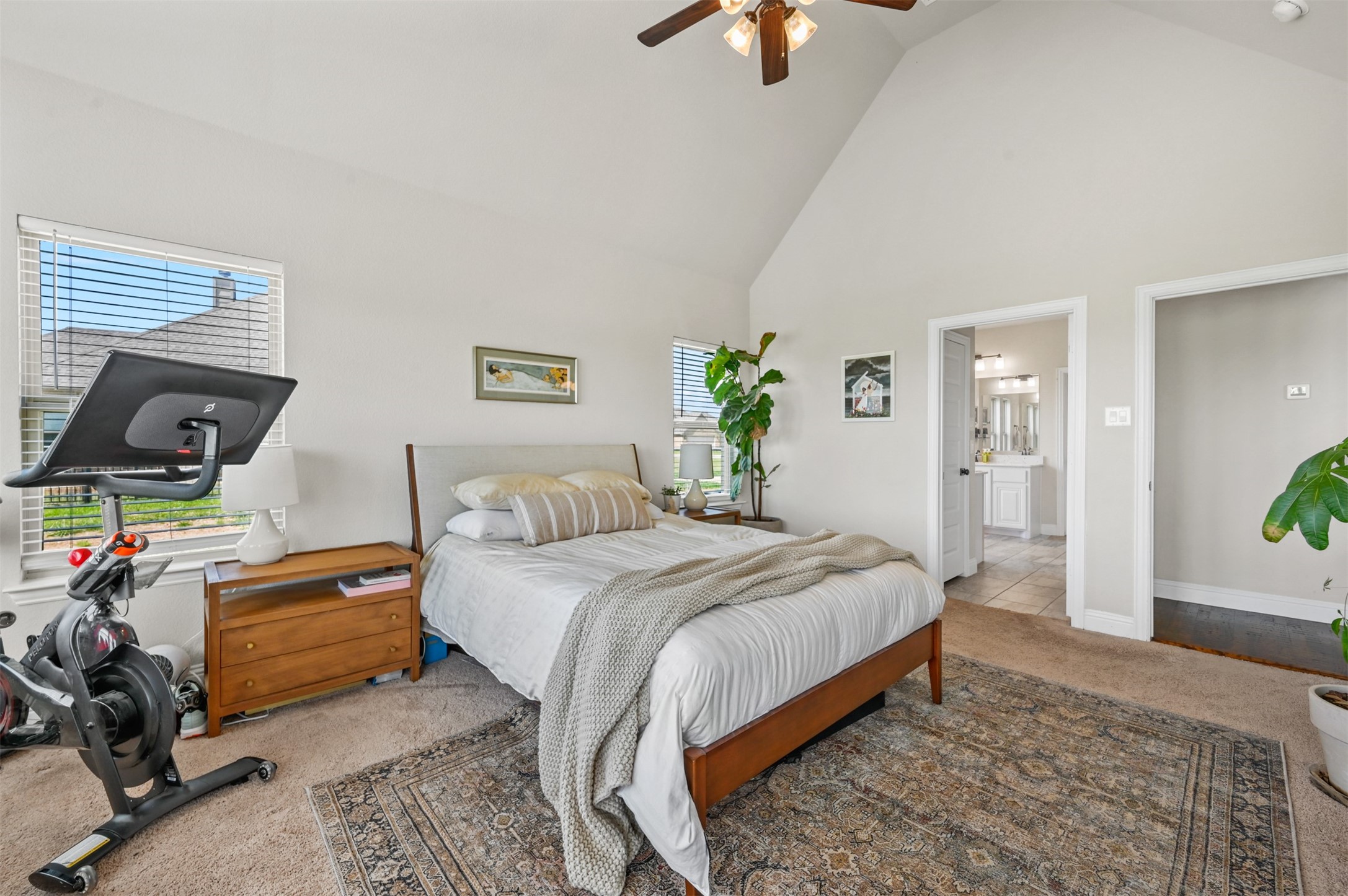 707 Cactus Creek Court