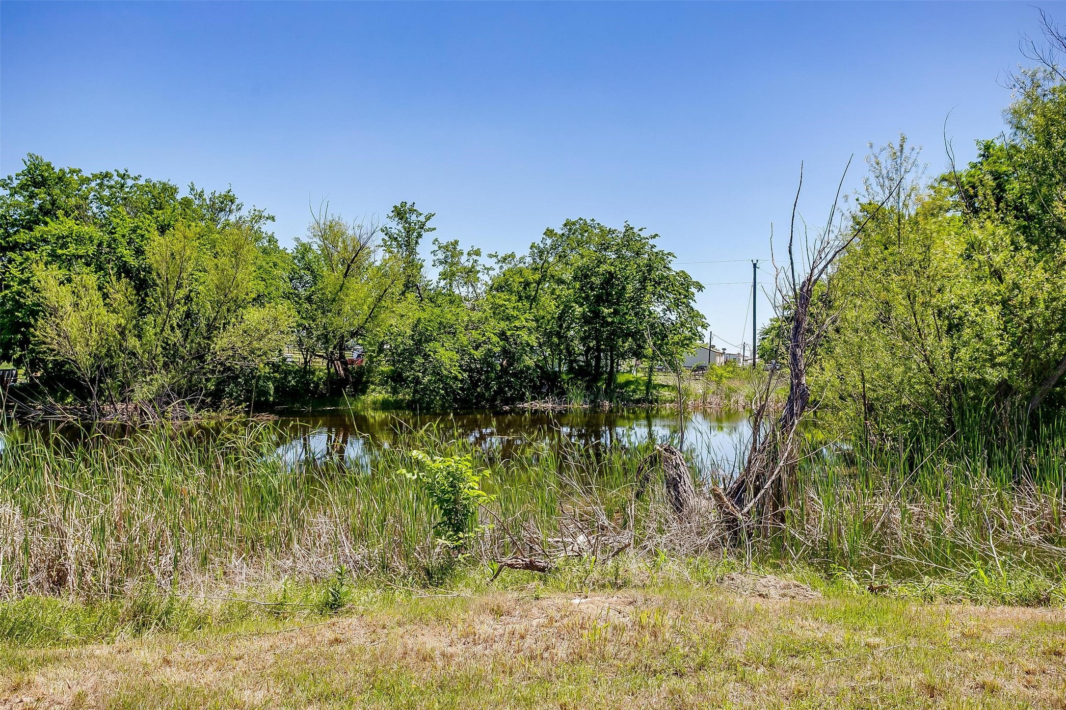 143 Carter Hills Lane