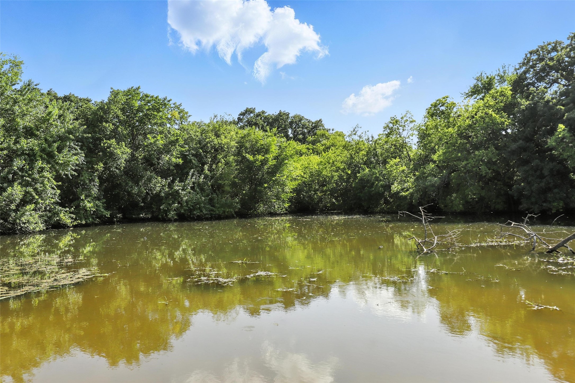 12640 Oak Grove Road S