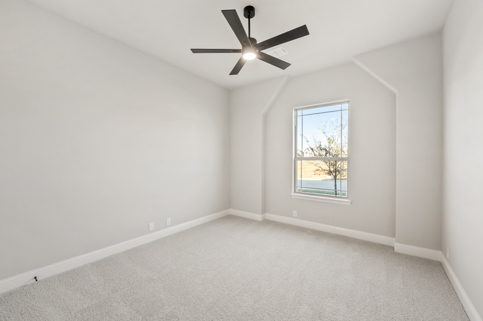 34 Osprey Street