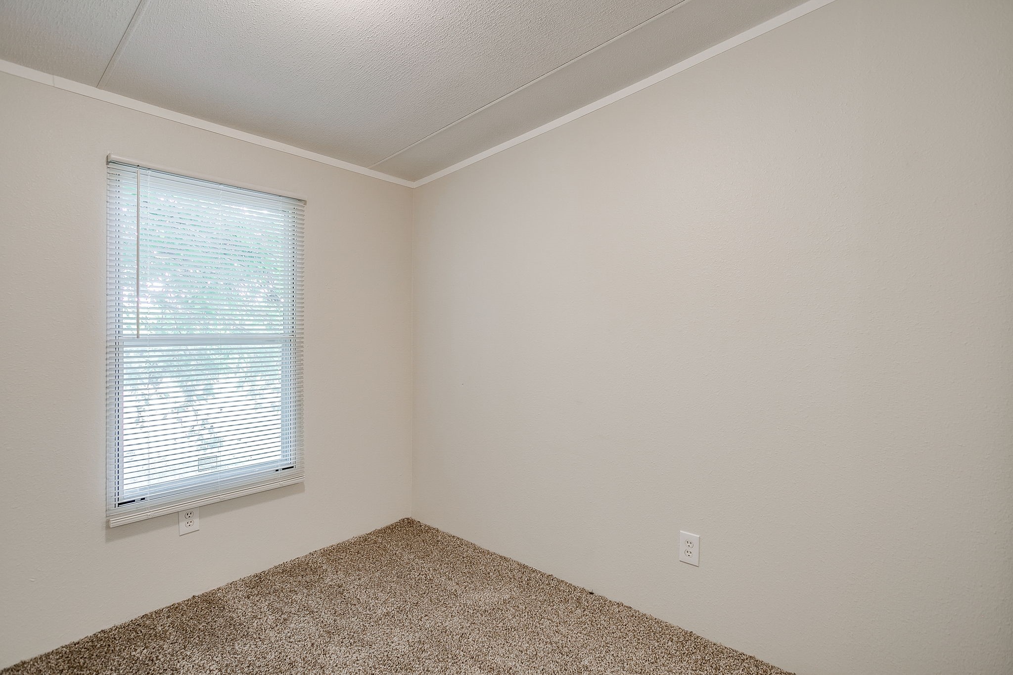 256 Hilltop Trail