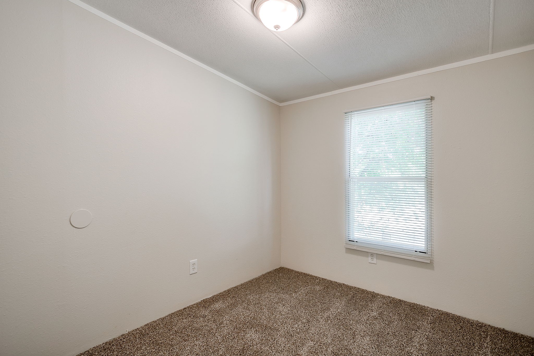 256 Hilltop Trail