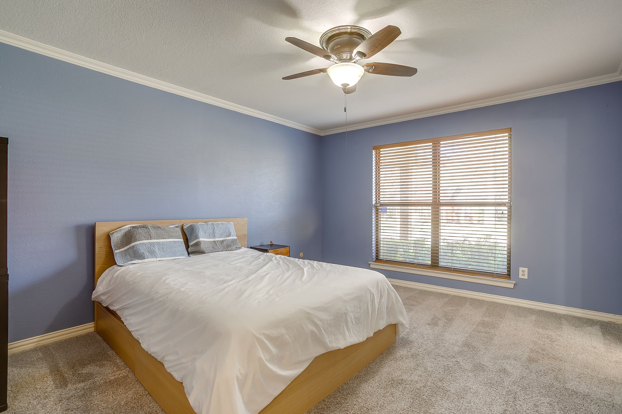 1205 Shady Creek Drive