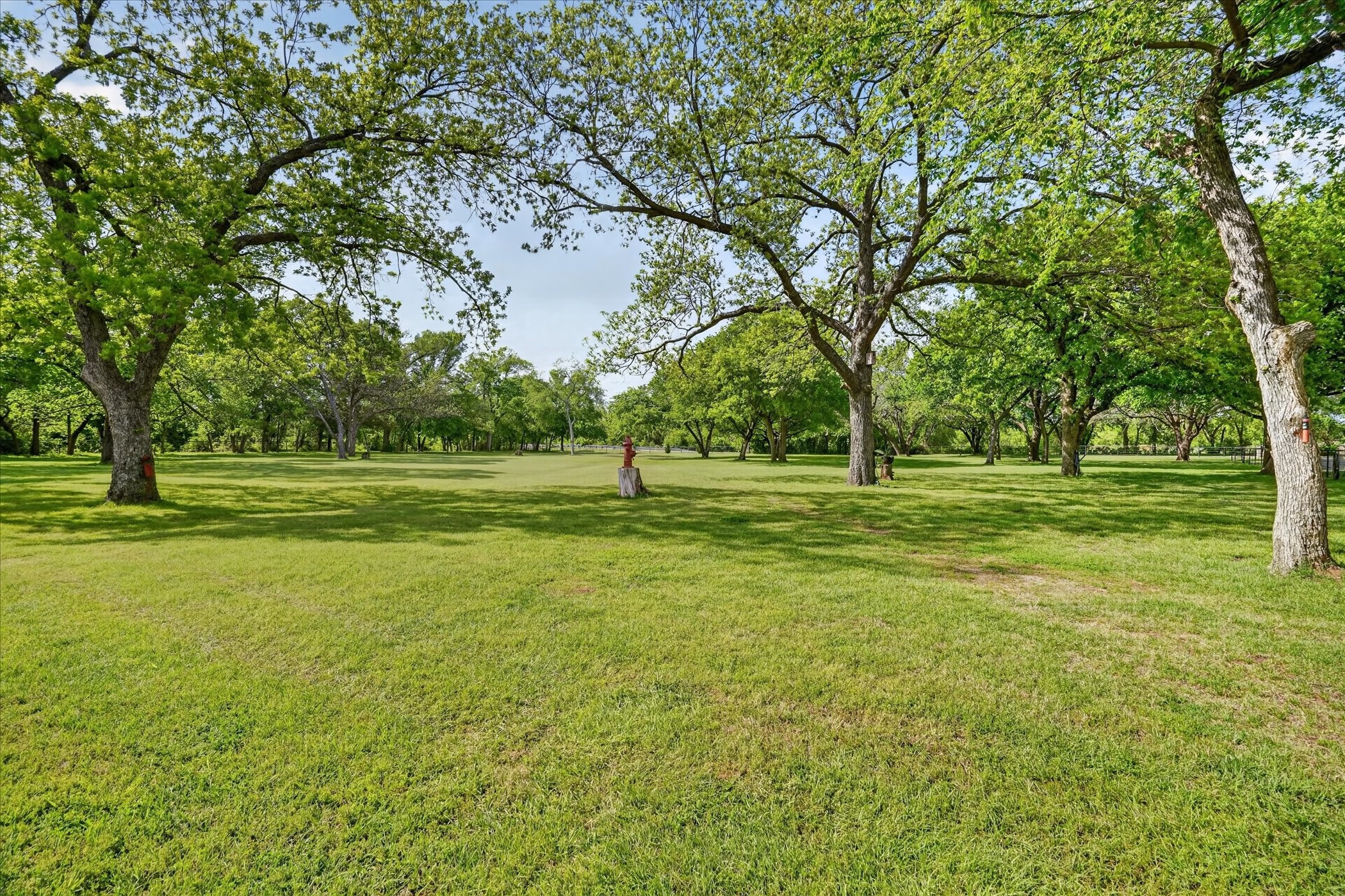 1290 Fox Lane