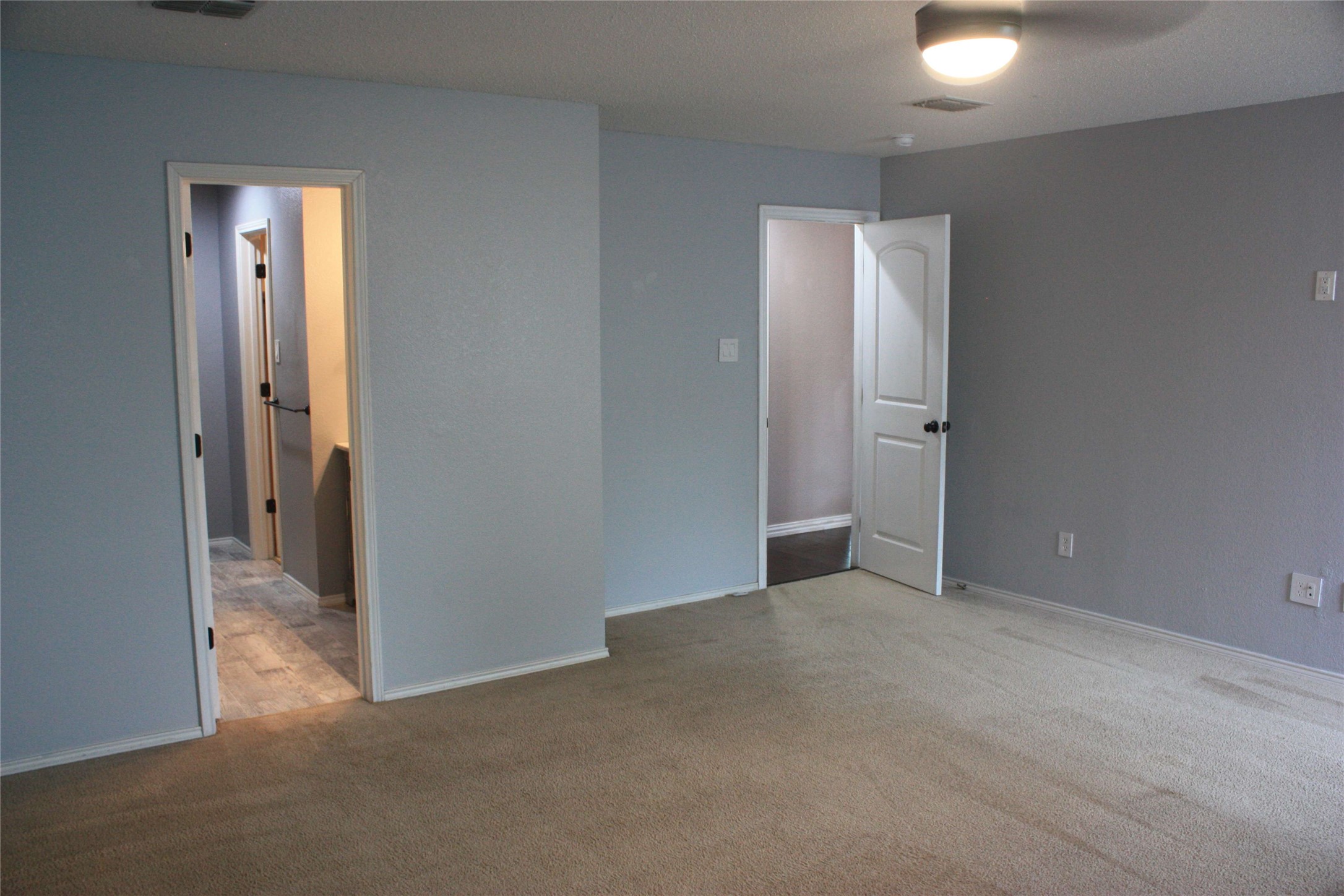 1328 Dandelion Trail