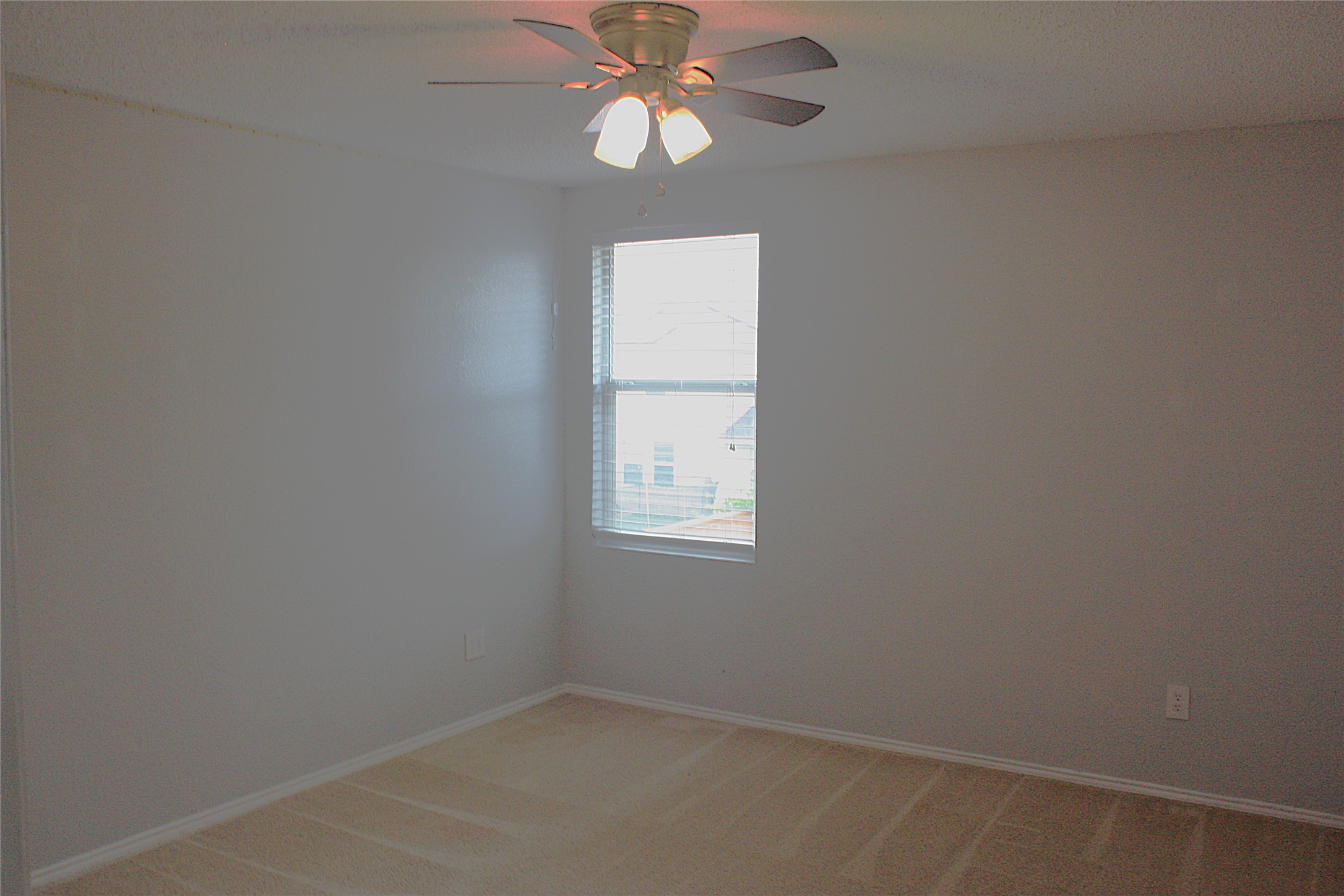 1328 Dandelion Trail