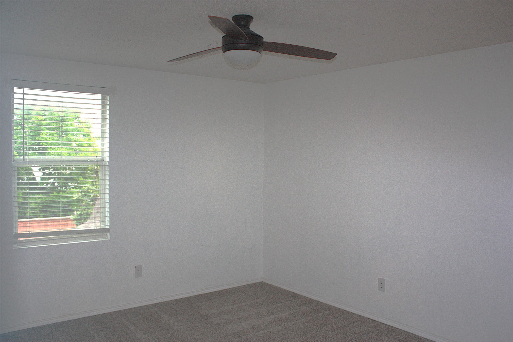 1328 Dandelion Trail