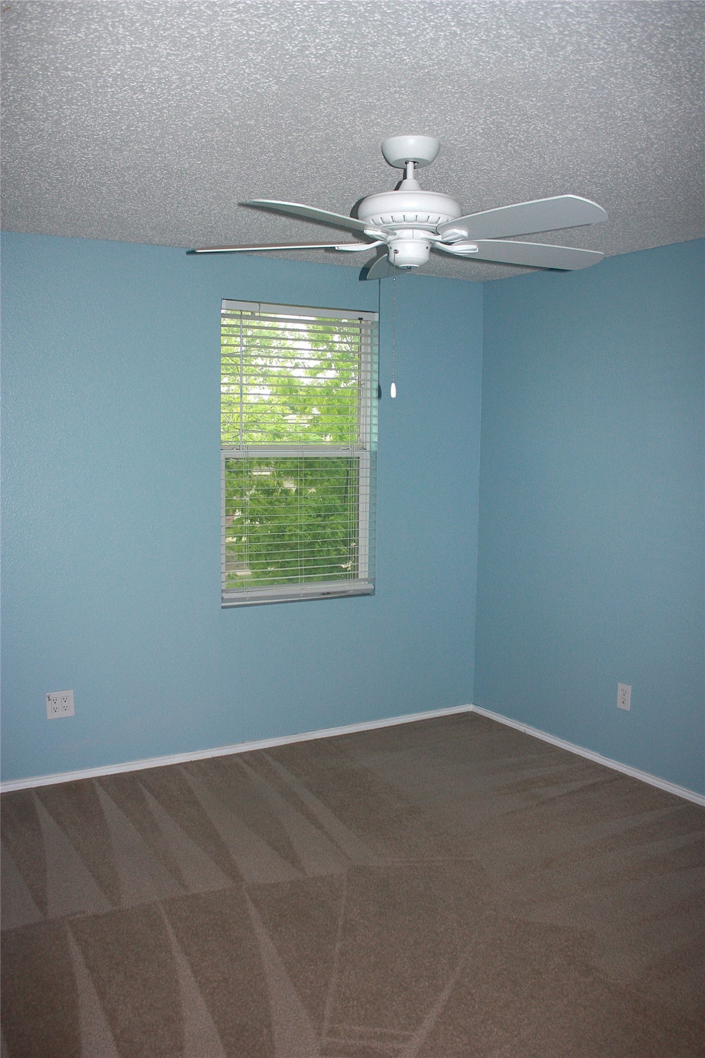 1328 Dandelion Trail