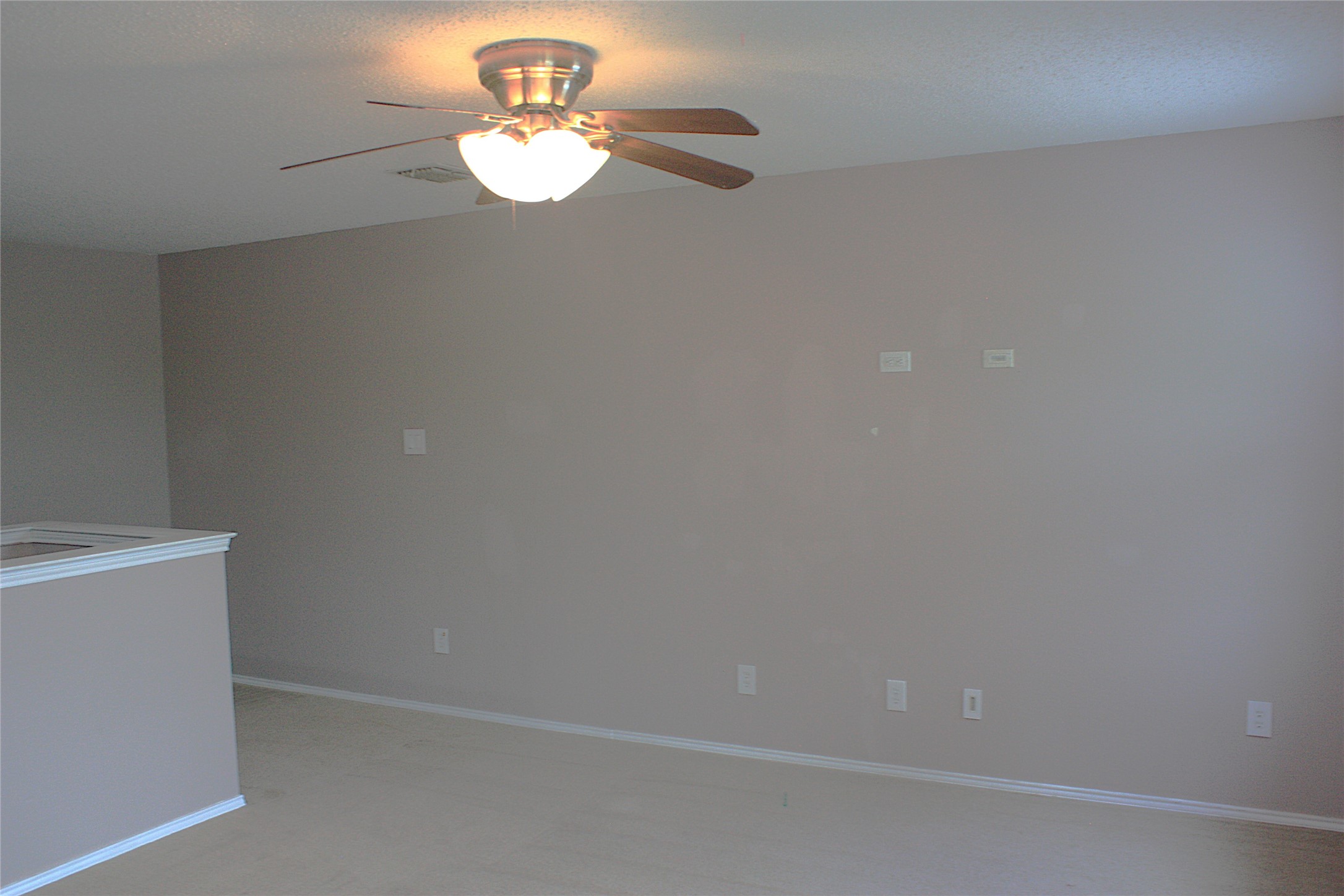 1328 Dandelion Trail