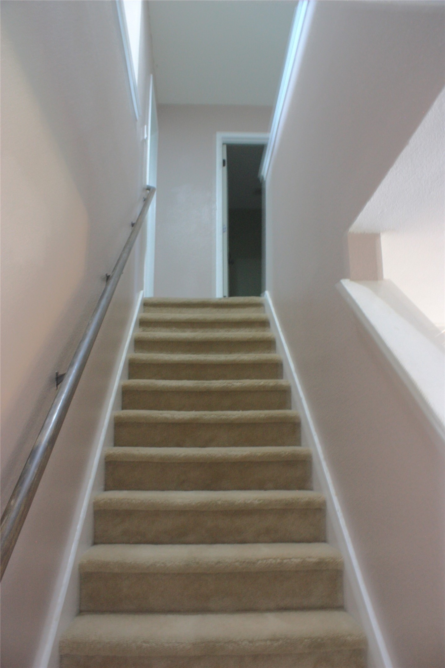1328 Dandelion Trail