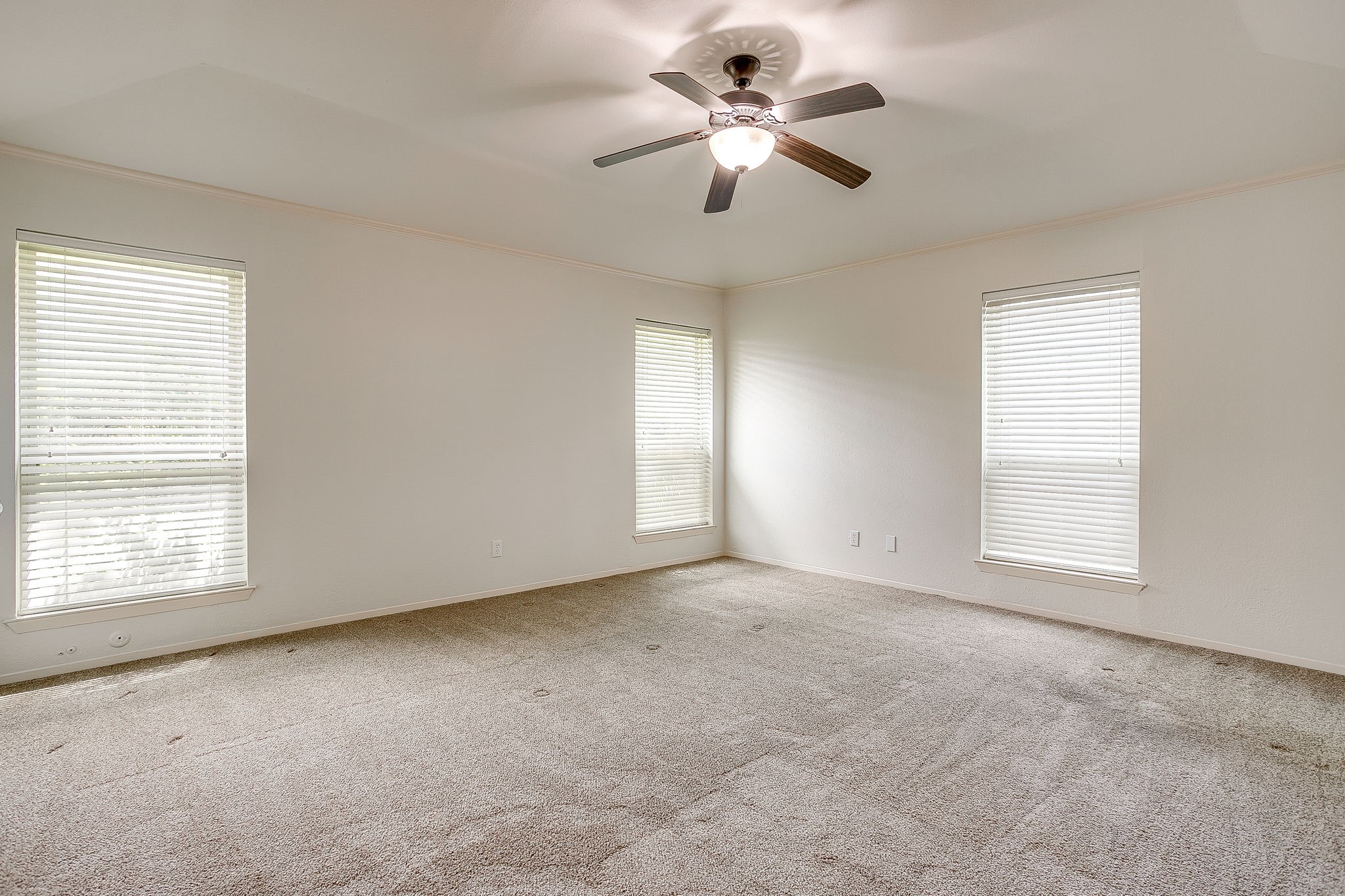 802 Shady Creek Drive