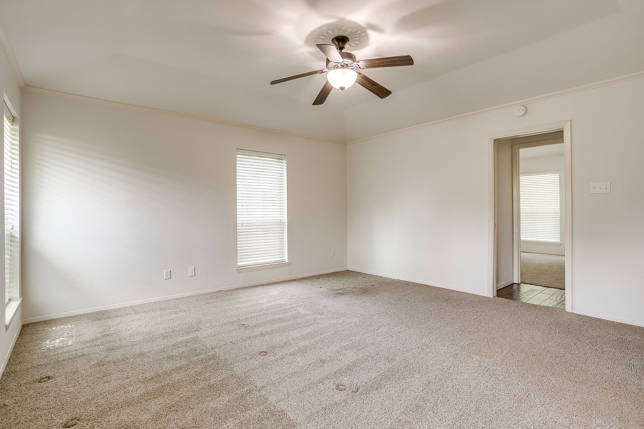 802 Shady Creek Drive