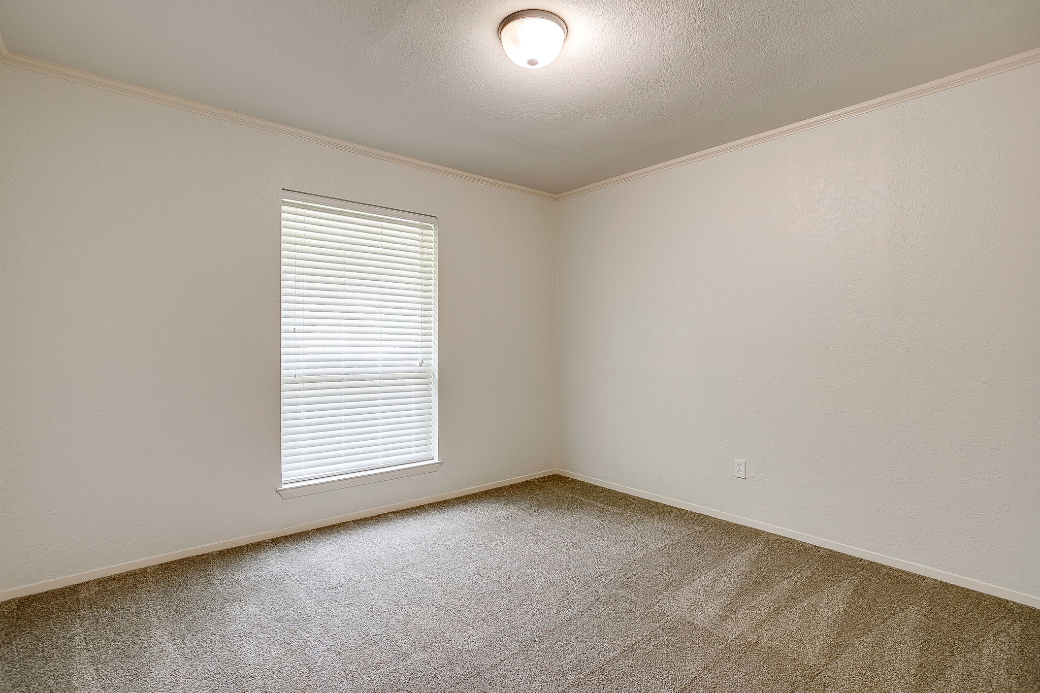802 Shady Creek Drive