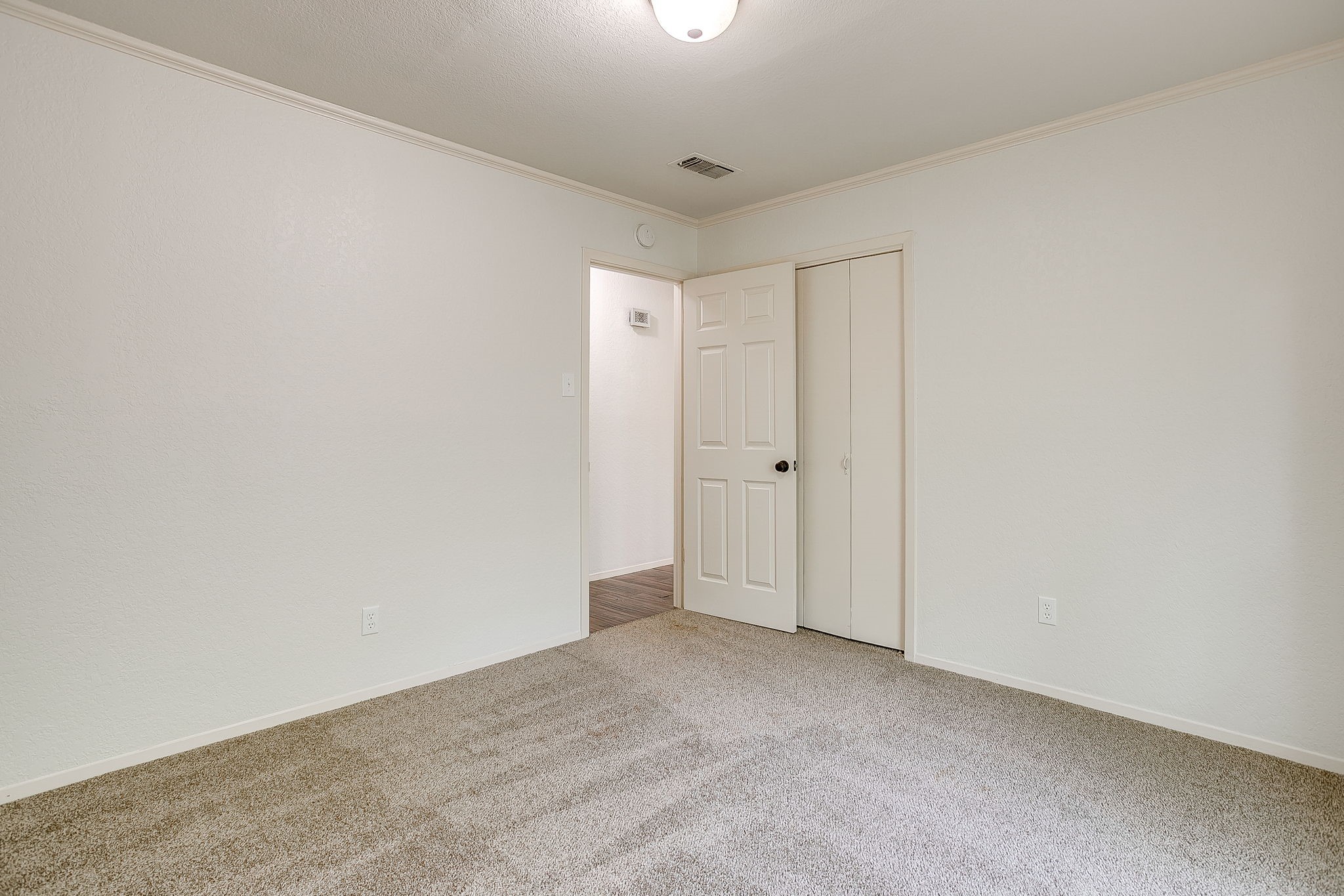 802 Shady Creek Drive
