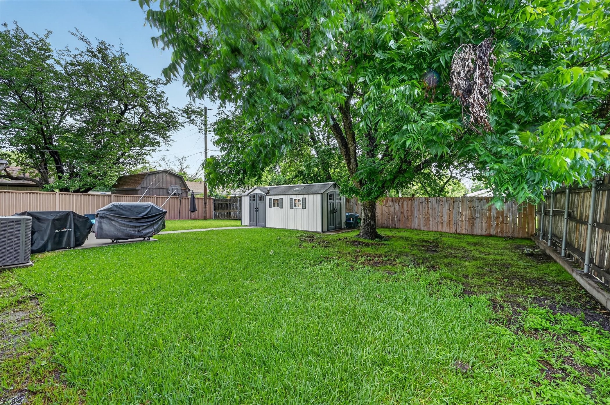449 Irene Street
