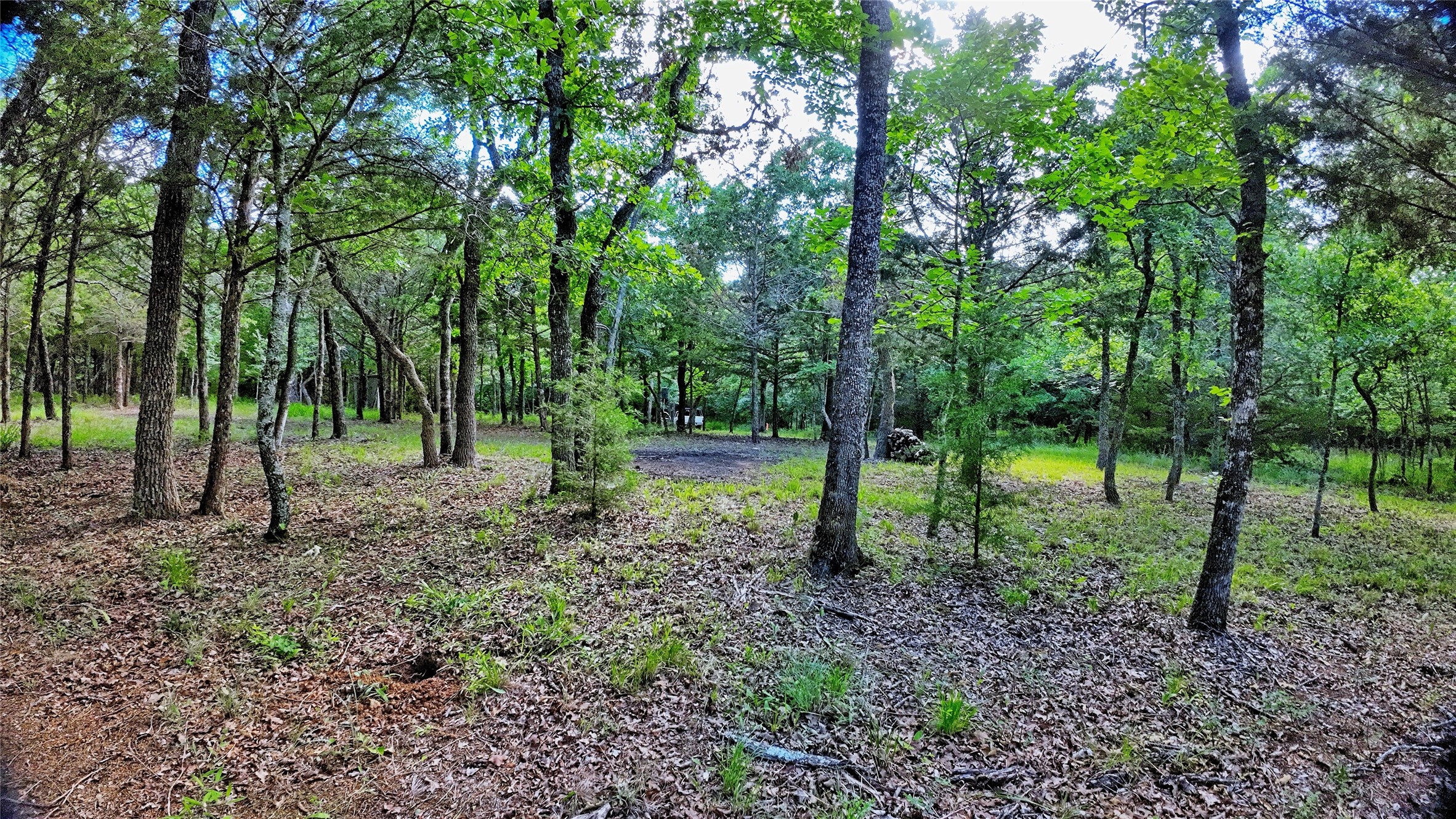 TBD Oak Cove Court