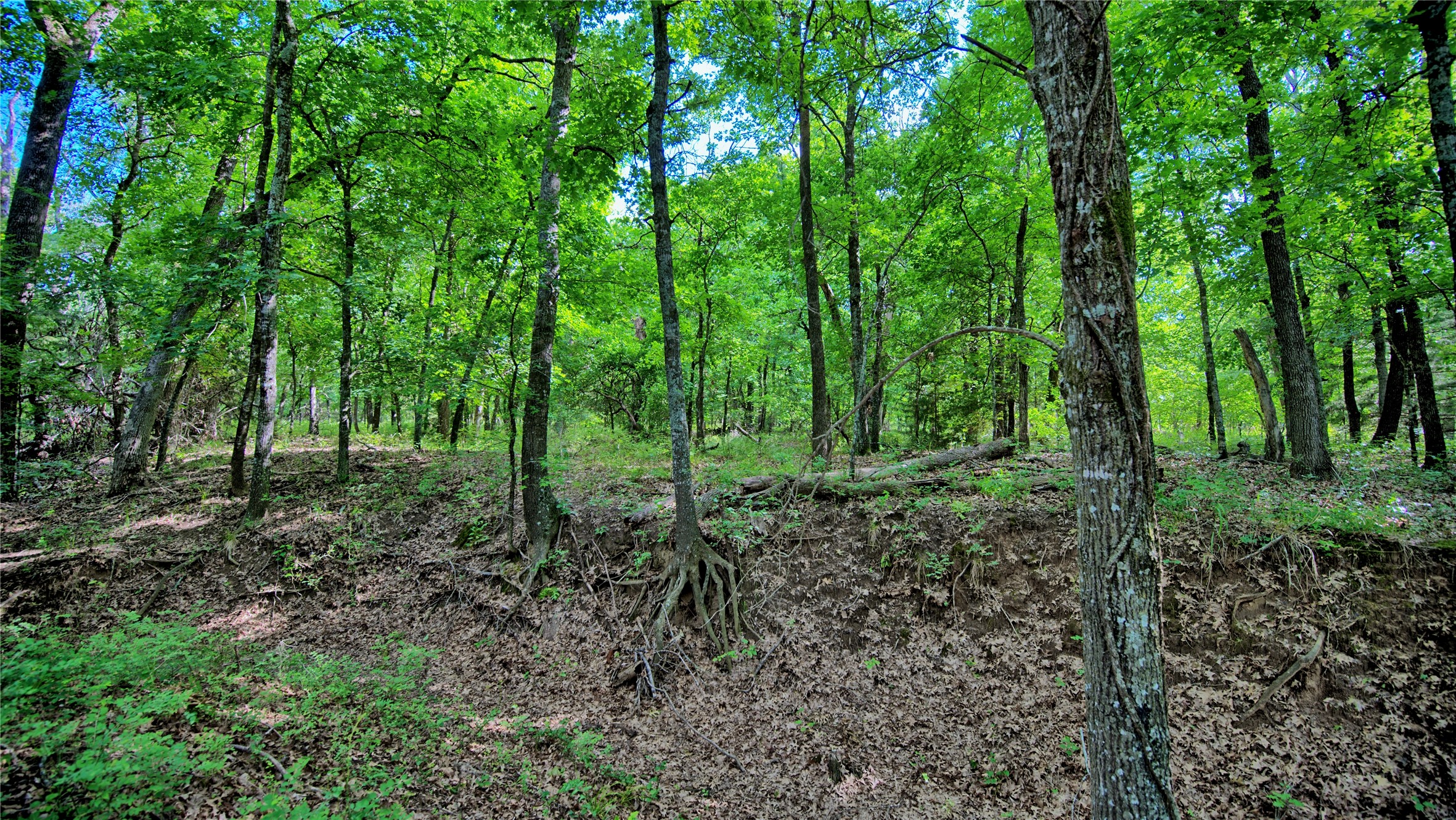 TBD Oak Cove Court