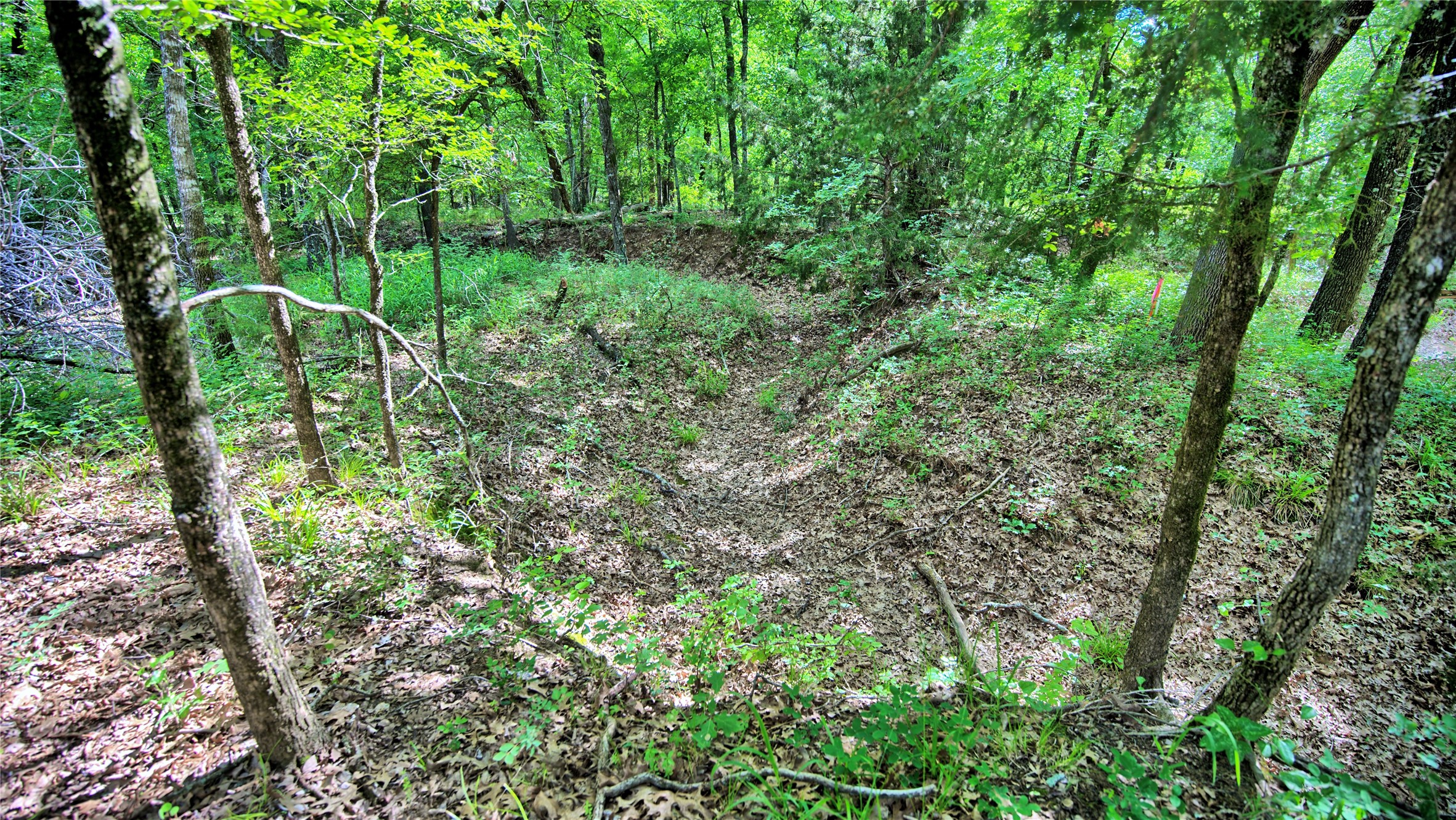 TBD Oak Cove Court