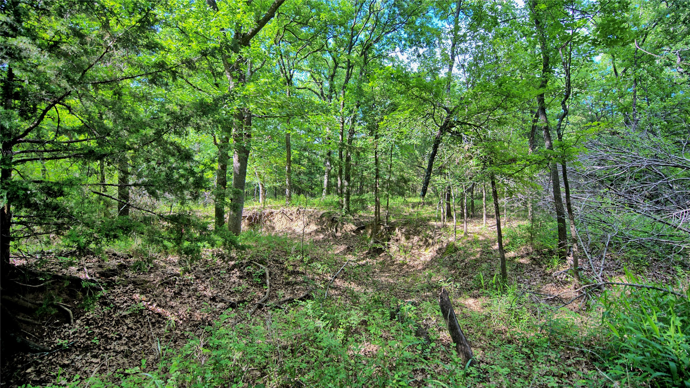TBD Oak Cove Court