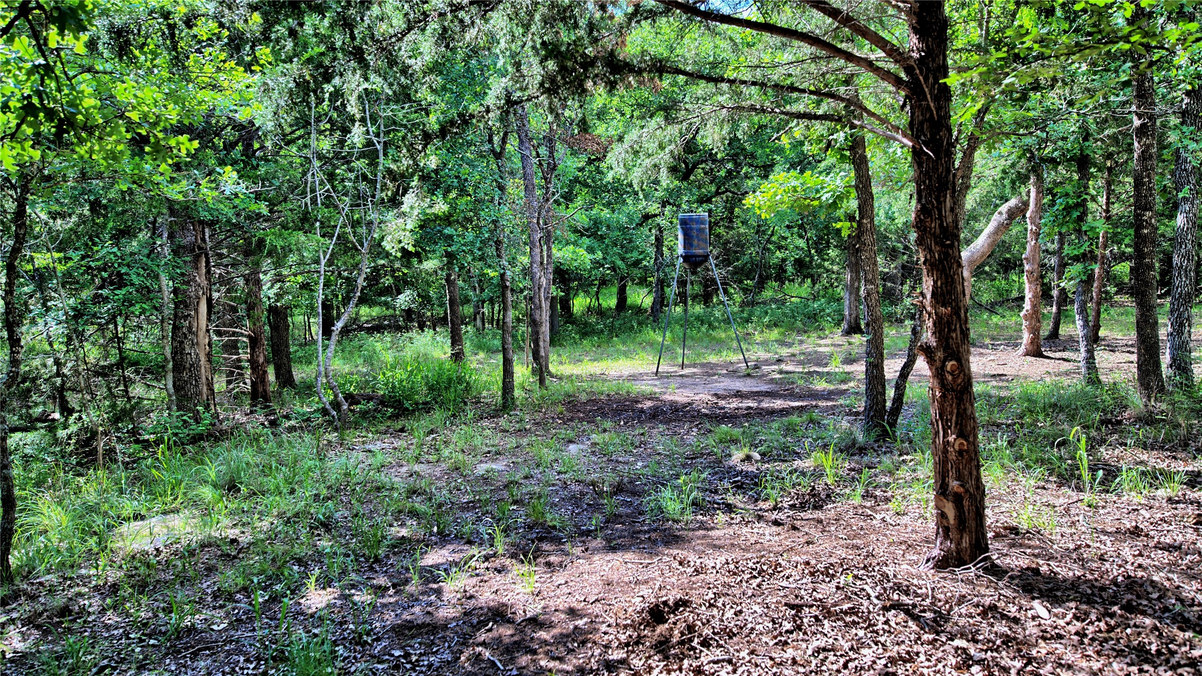 TBD Oak Cove Court