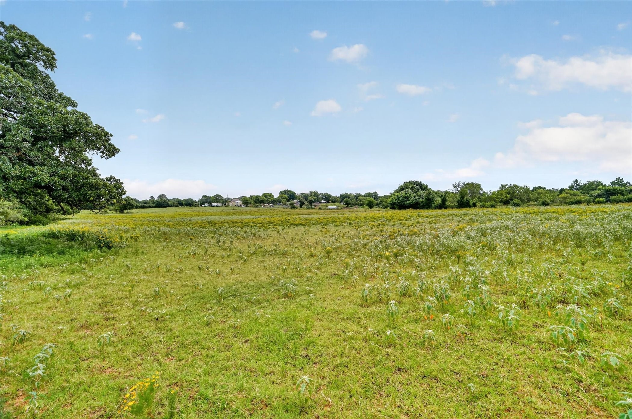 2919 County Road 531