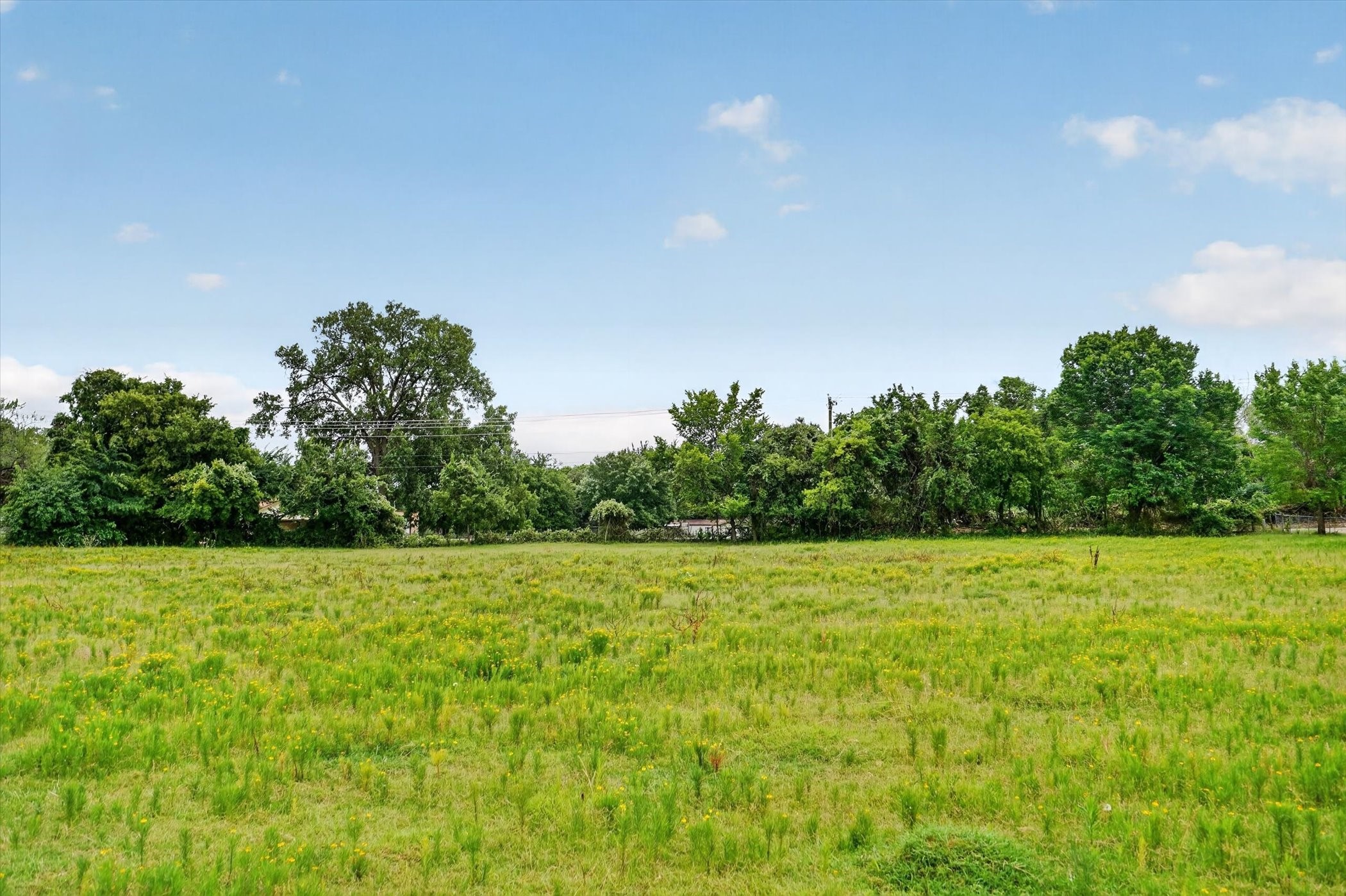 2919 County Road 531