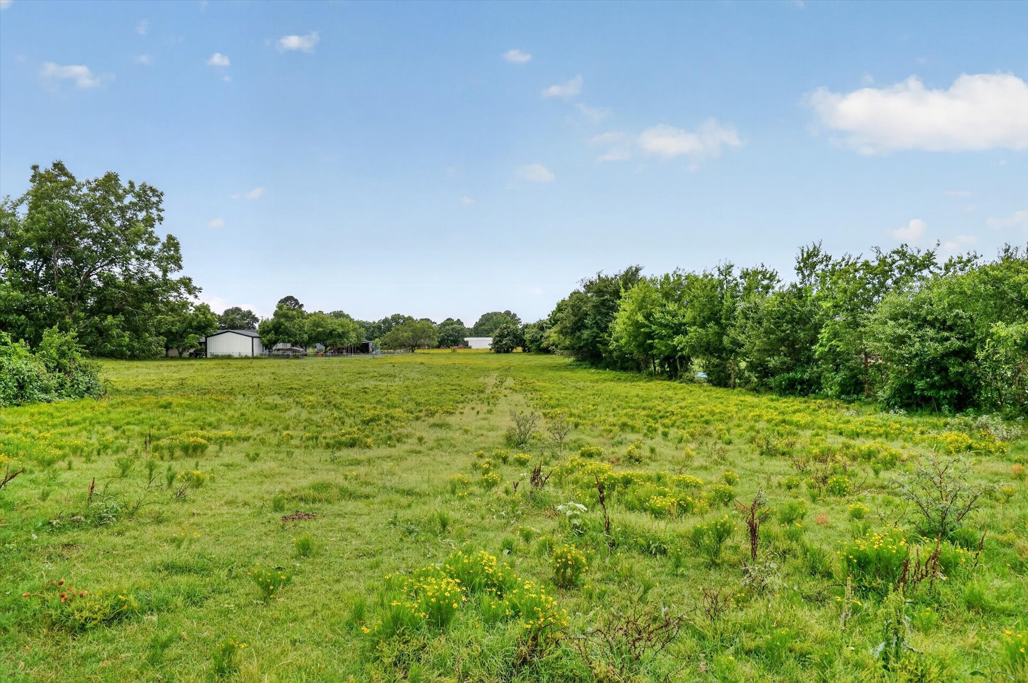 2919 County Road 531