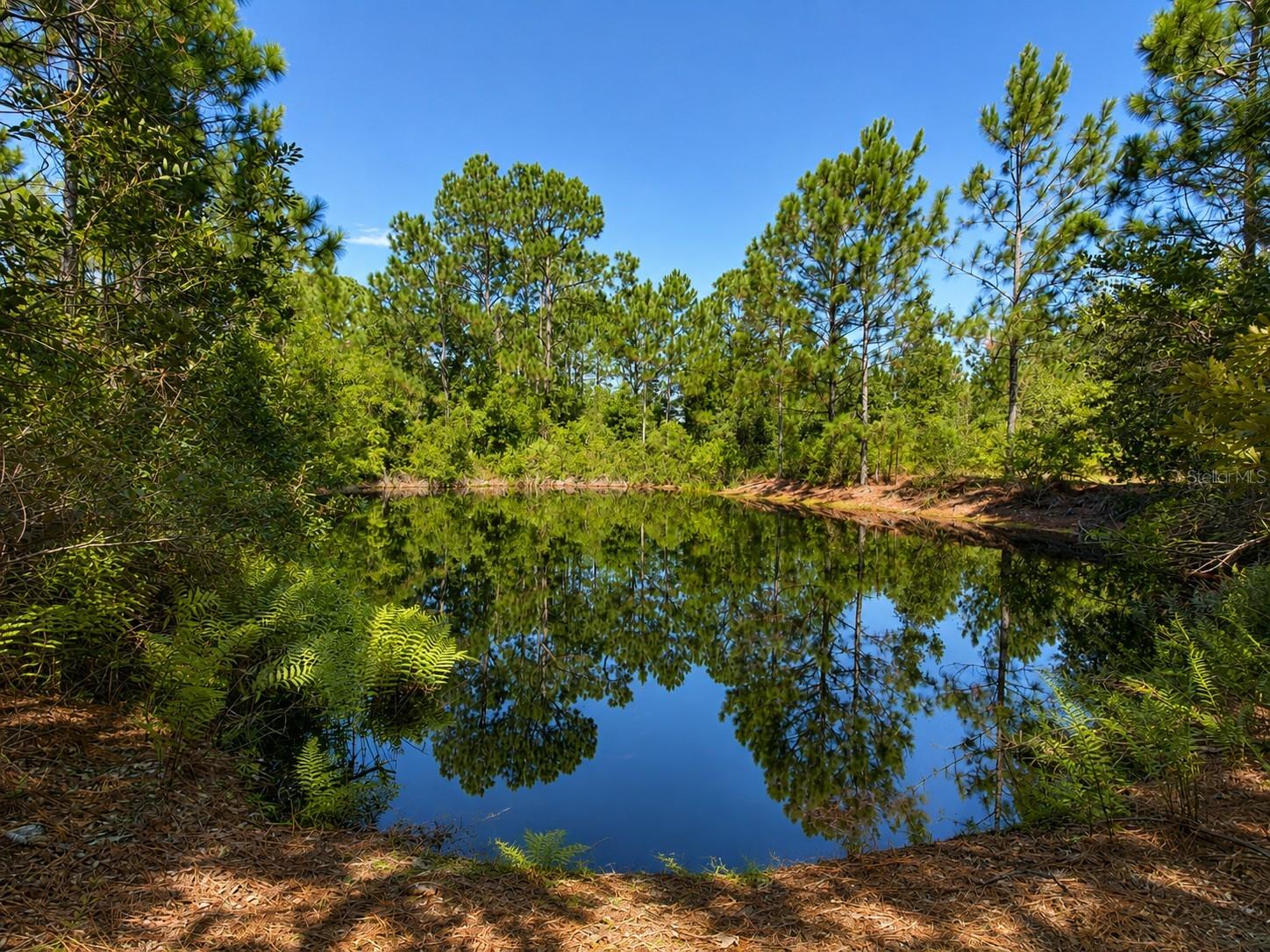 5350 OSCEOLA DR
