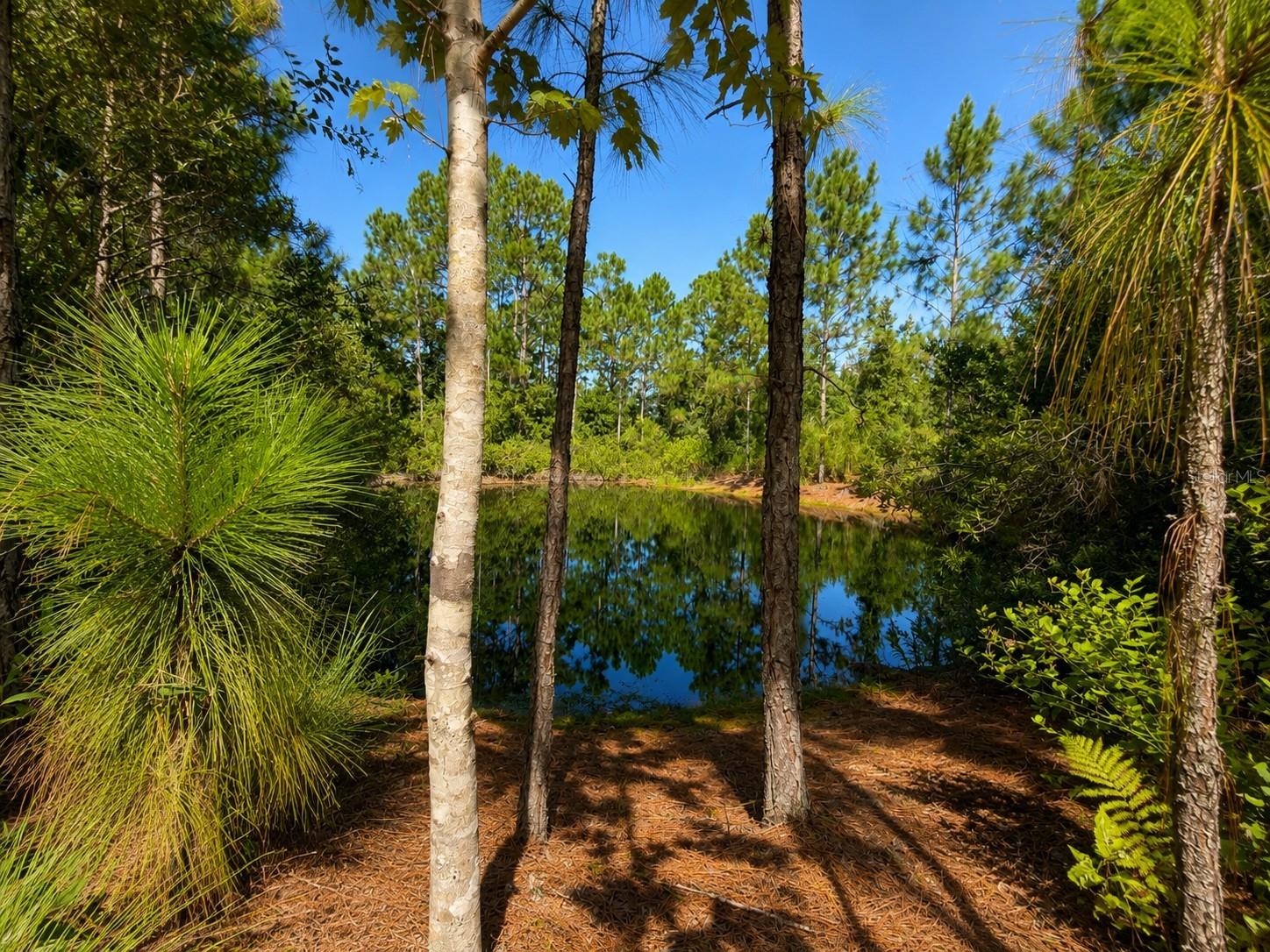 5350 OSCEOLA DR