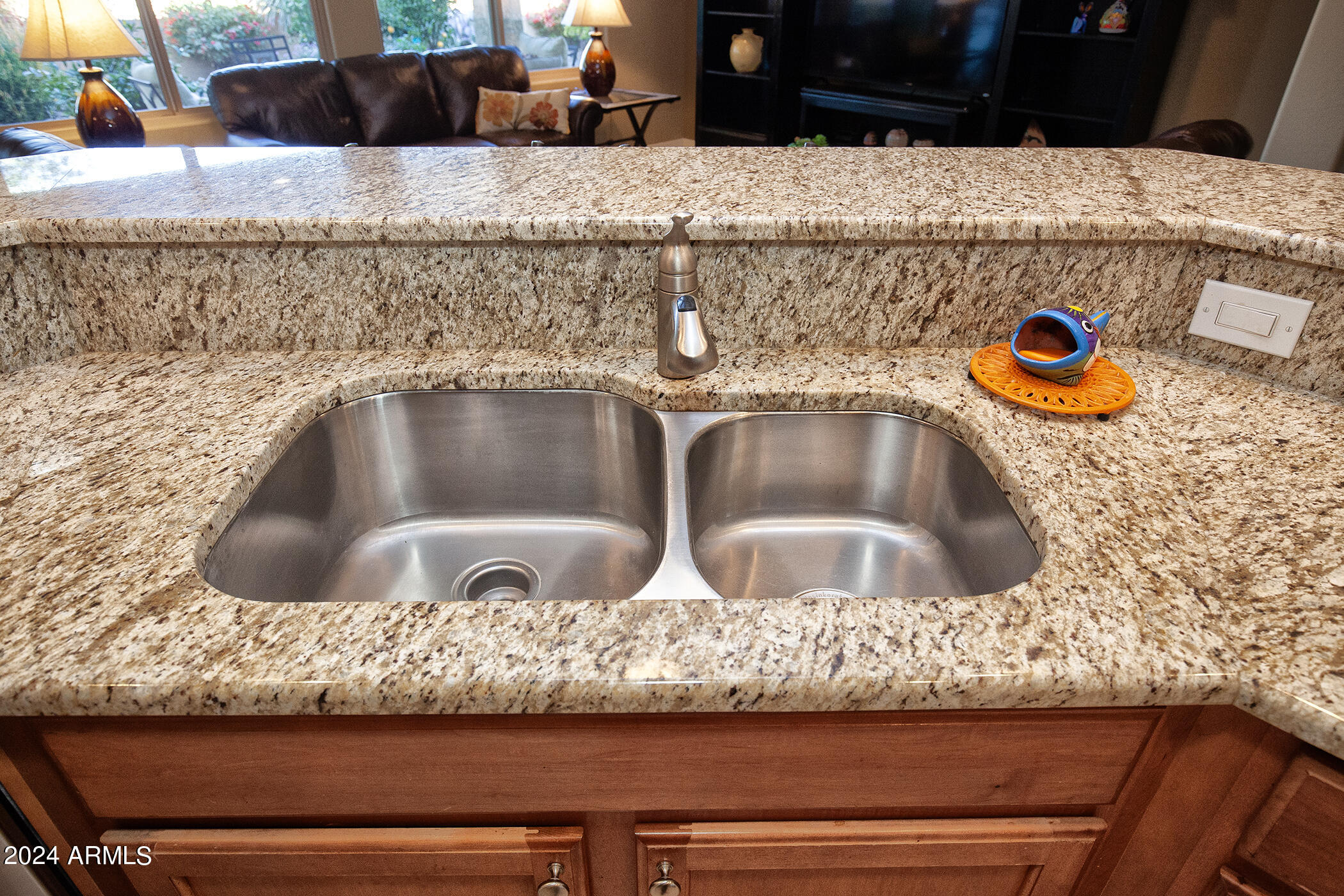 20596 N 273RD Avenue