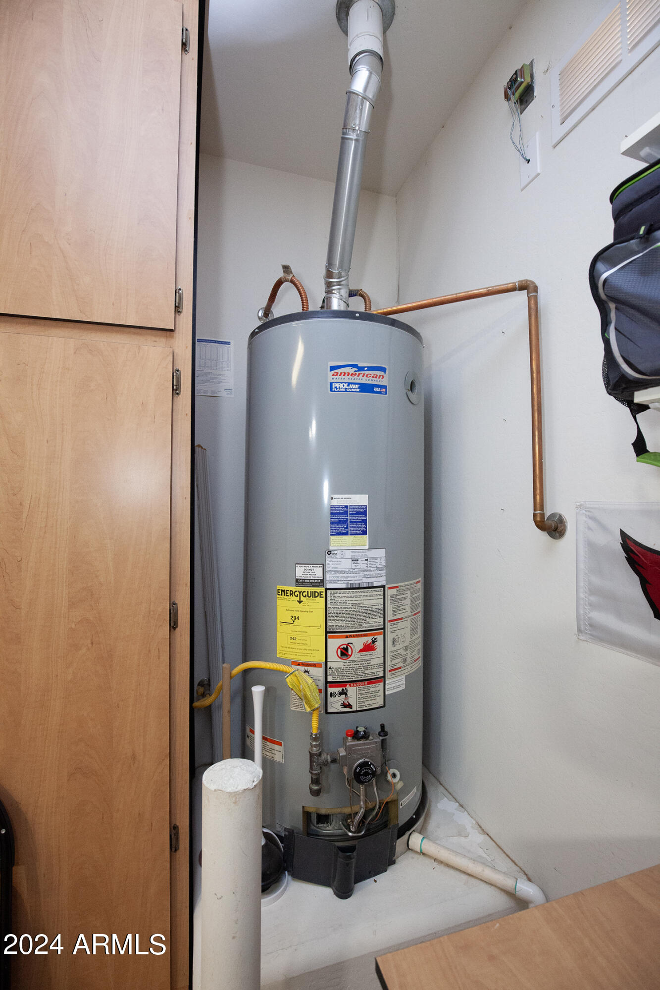 20596 N 273RD Avenue