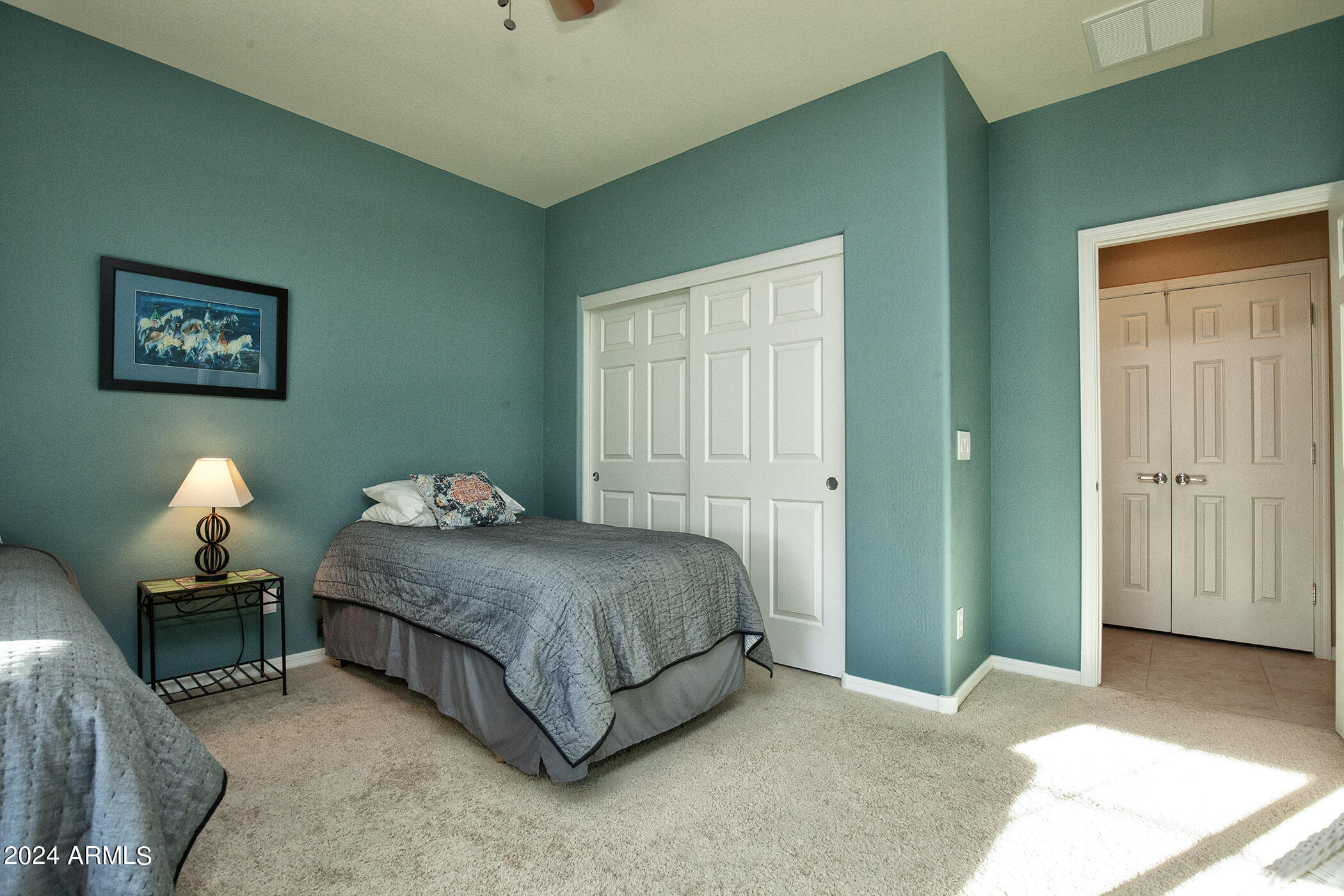 20596 N 273RD Avenue