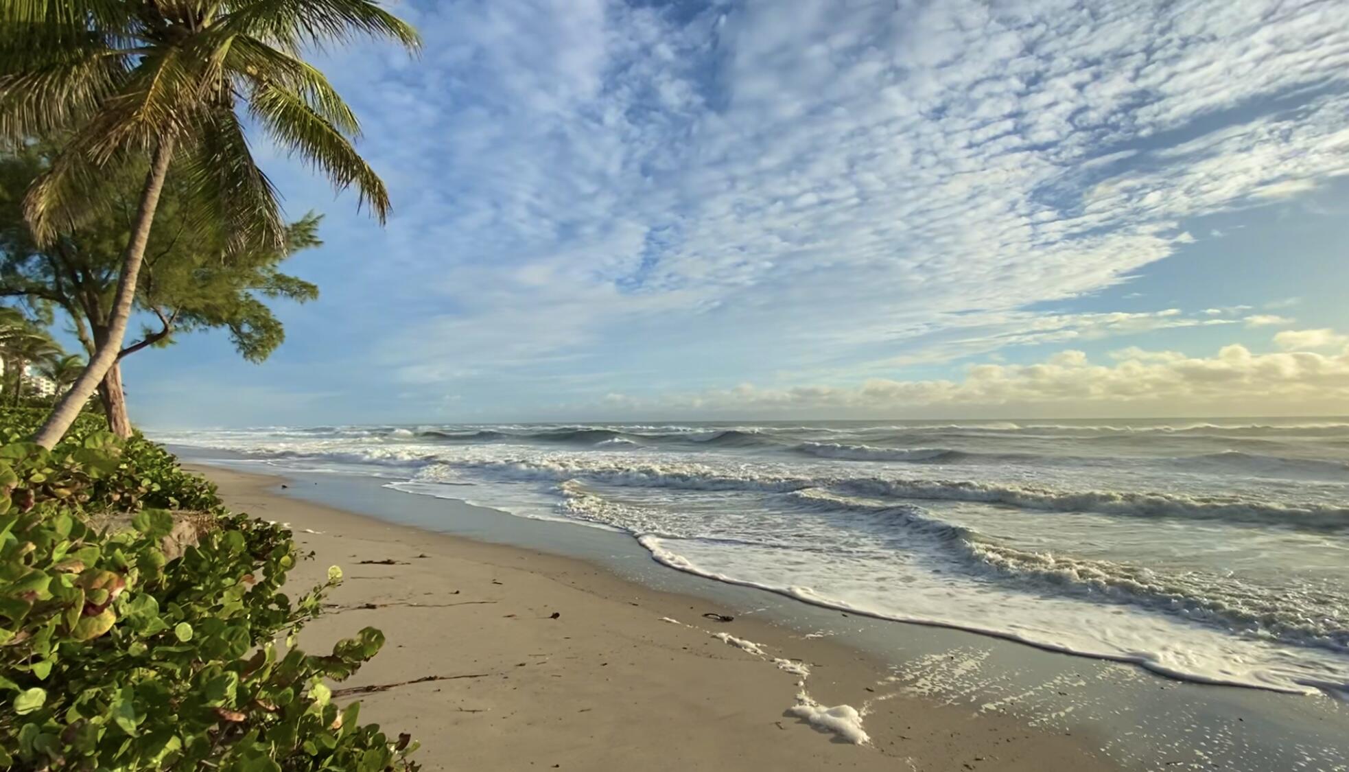 618 Renaissance Lane