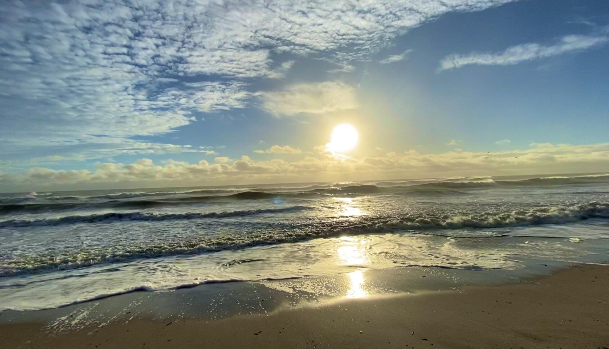 618 Renaissance Lane