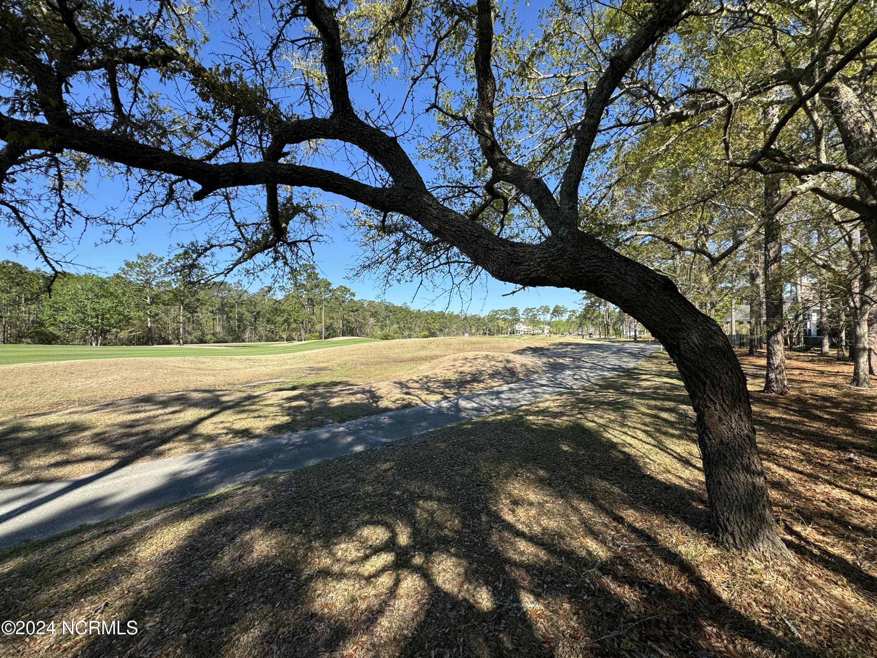 487 Emerald Valley Drive