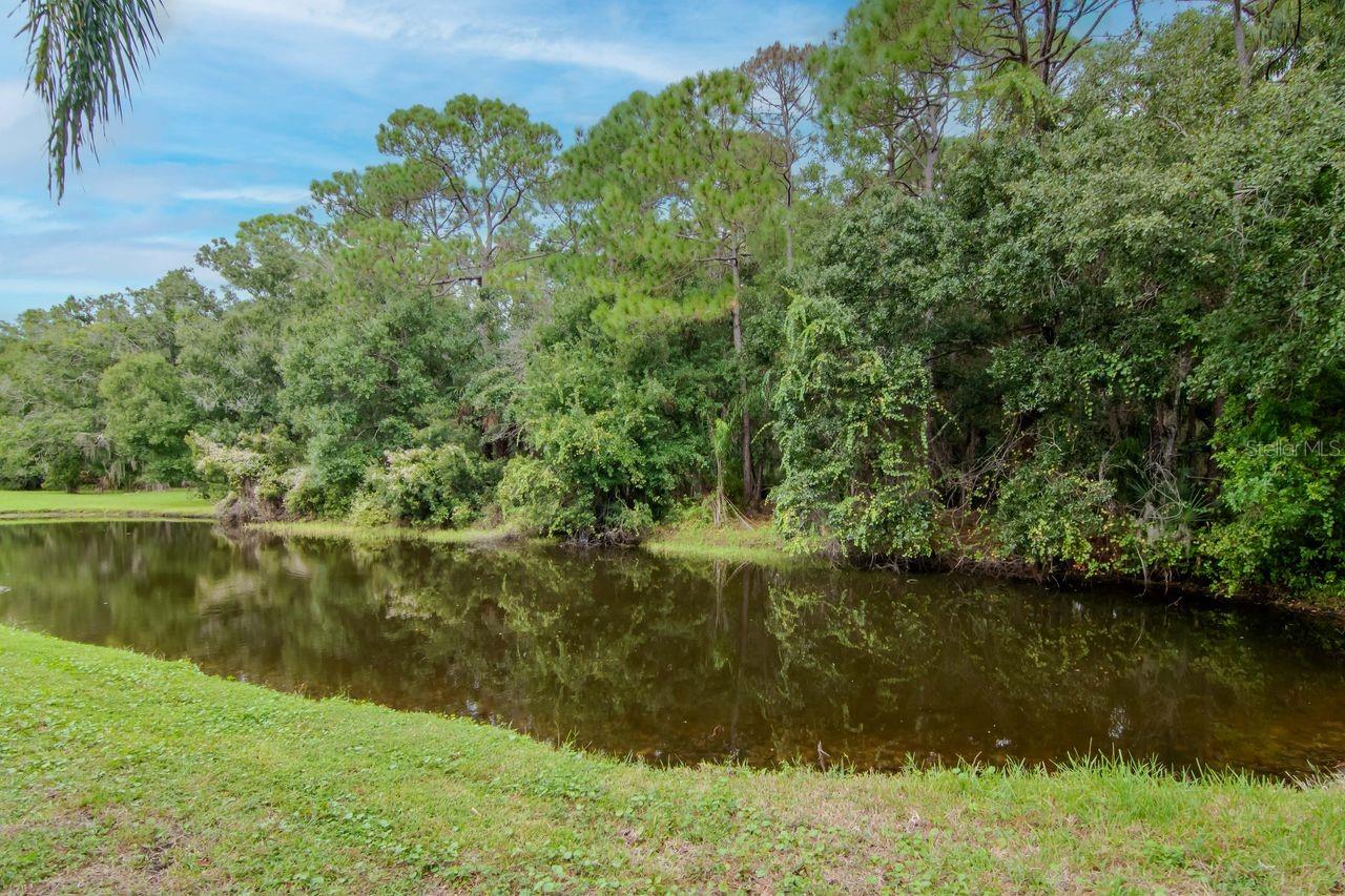 314 FOUNTAINVIEW CIR