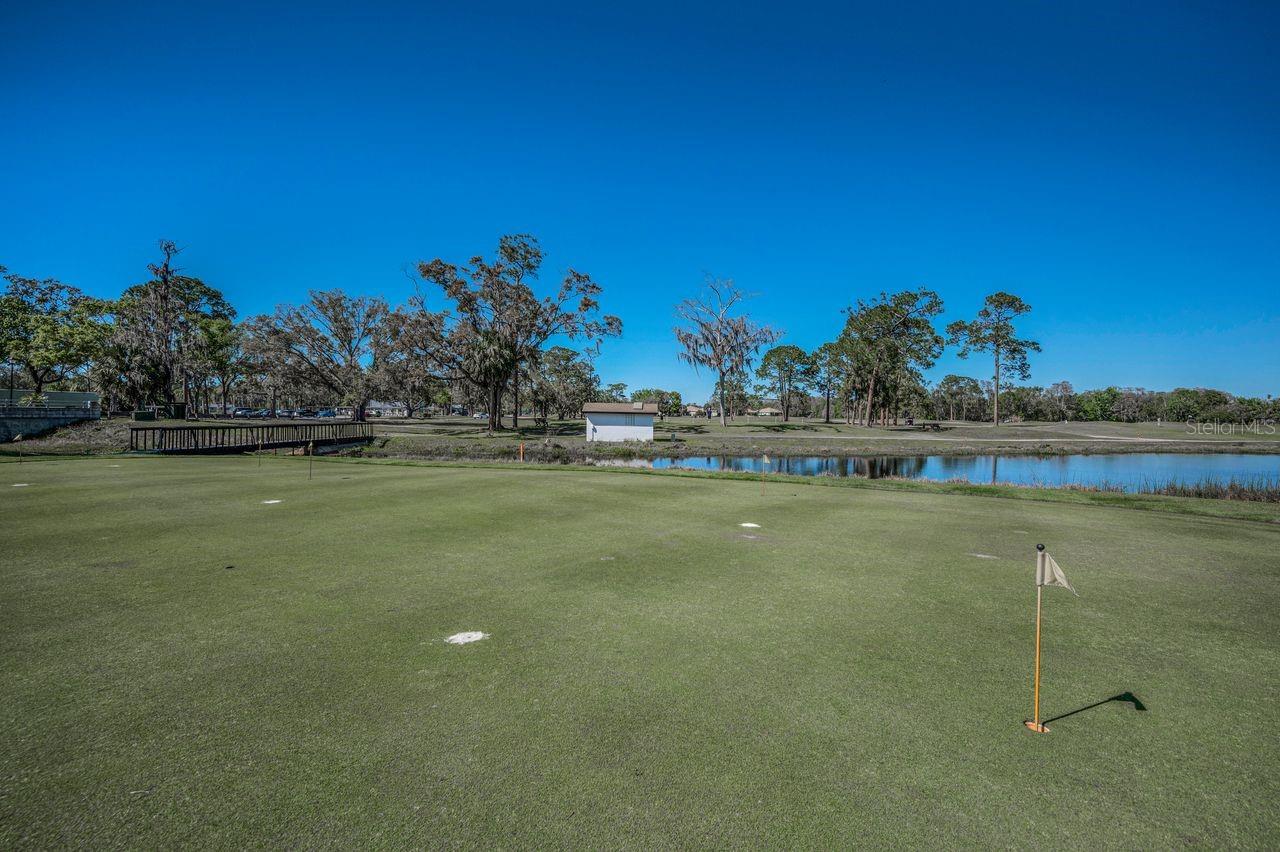 12154 PUTTER GREEN CT