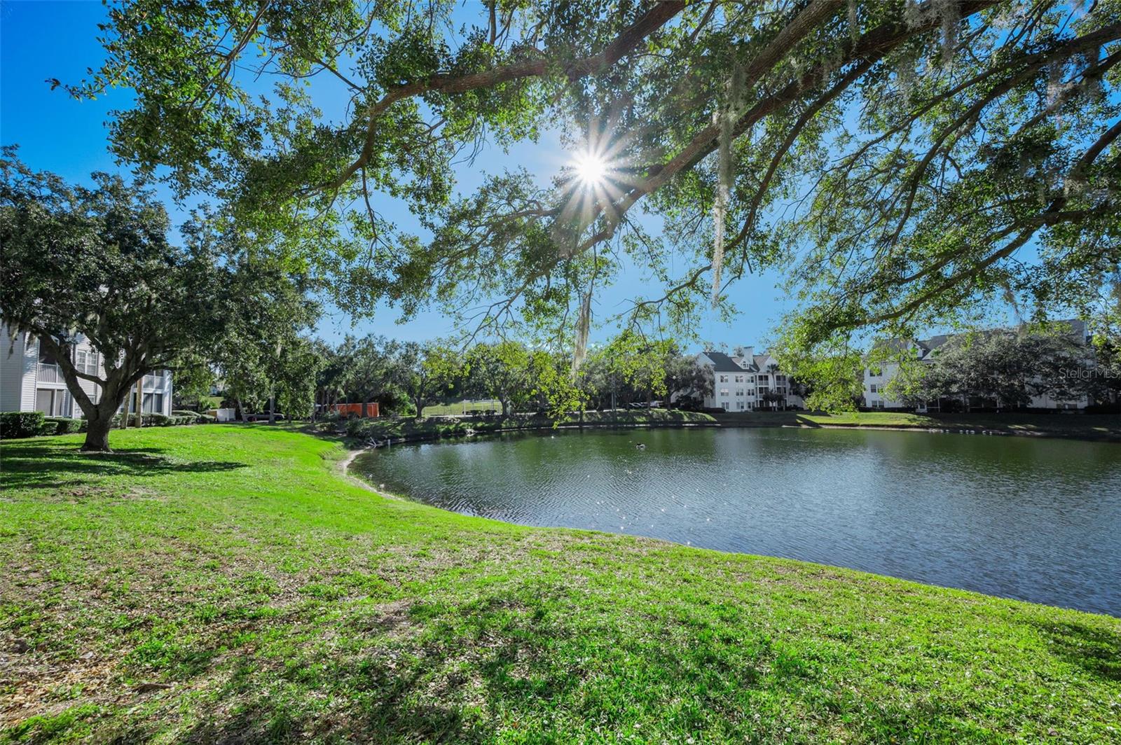 3304 HAVILAND CT #103